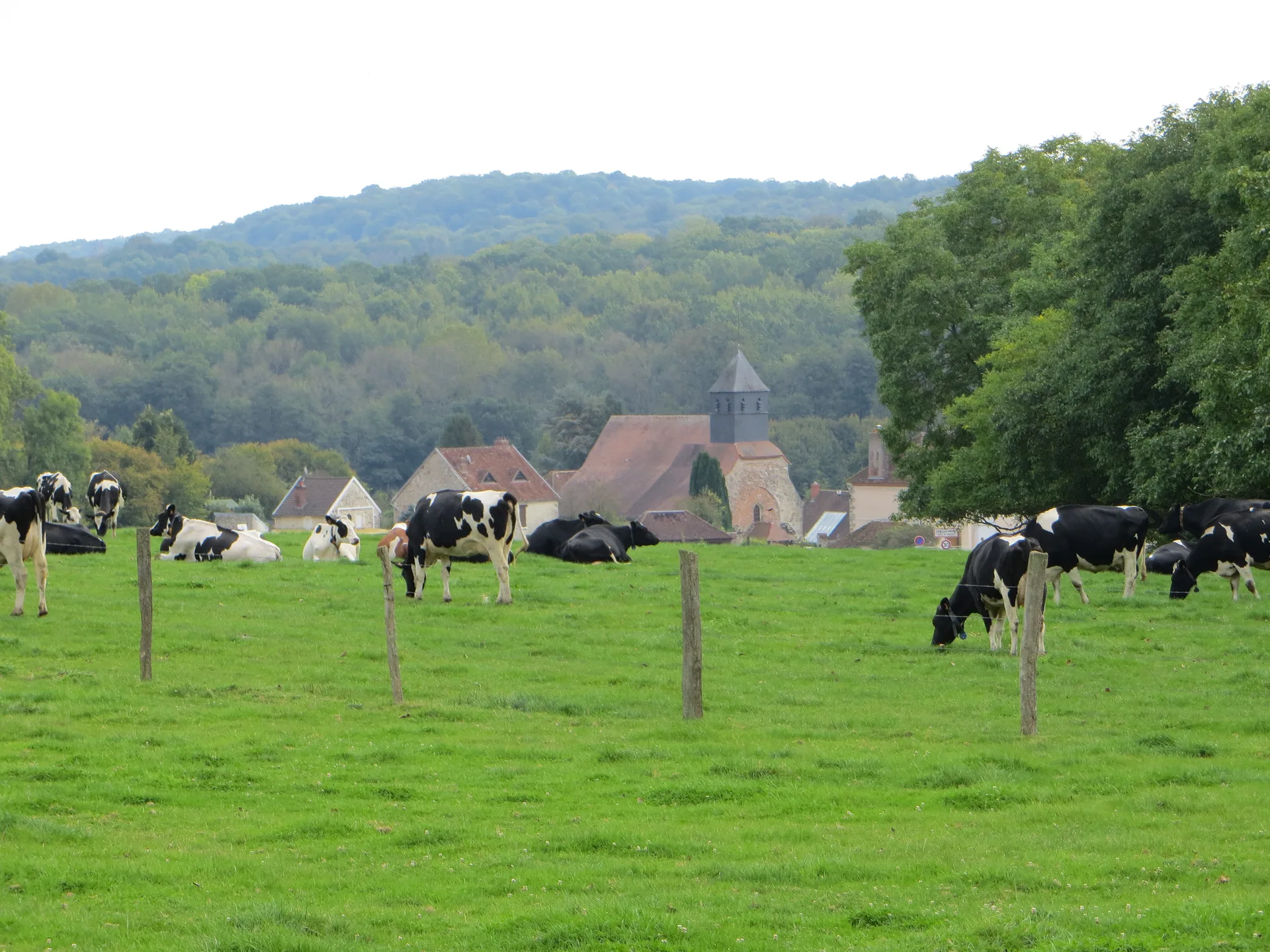 Etang du Bas à Mareuil-en-Brie — À 3,5 km du lac