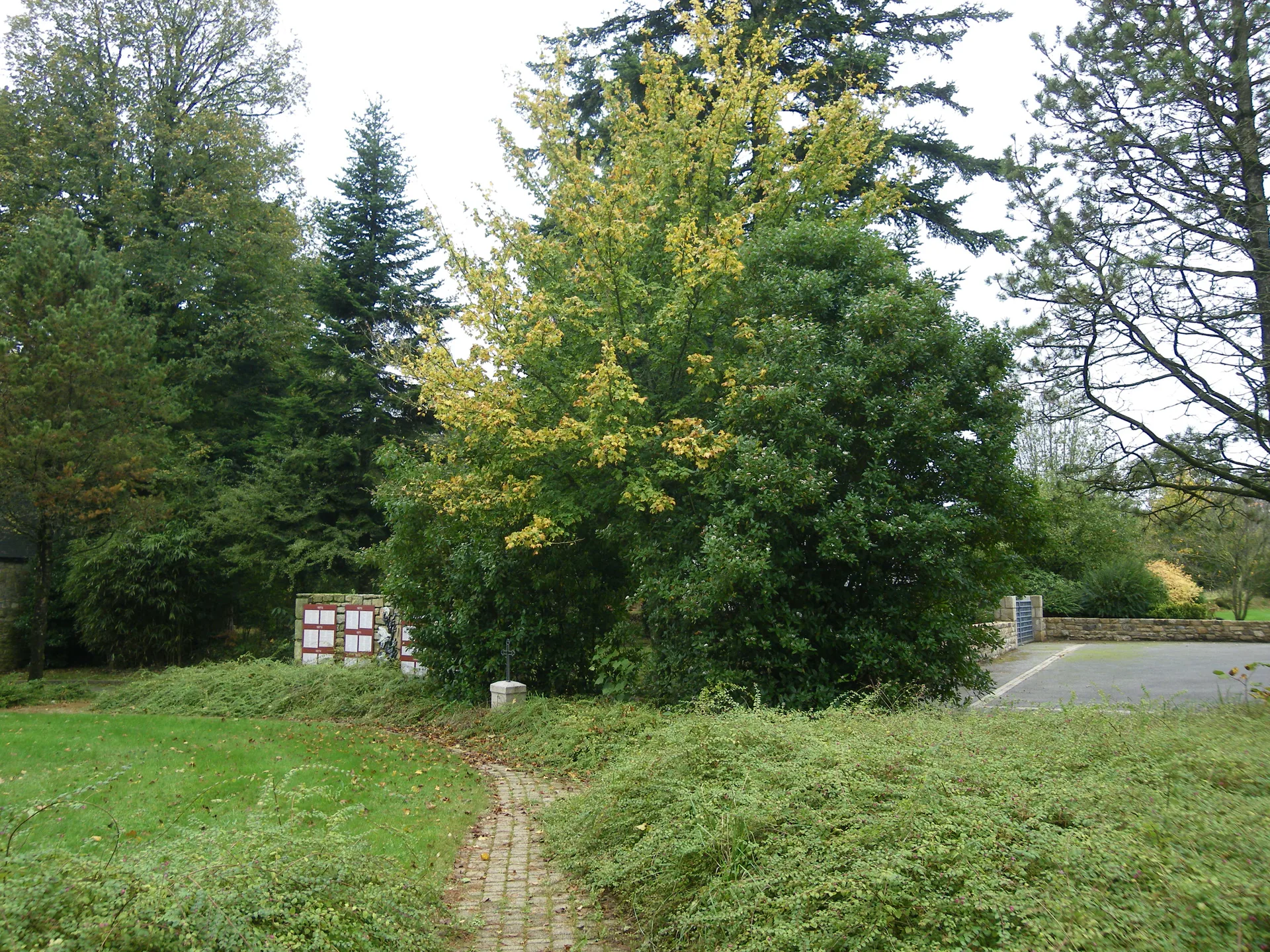 Étang du Bois d'amour à Locminé — À 1,1 km du lac