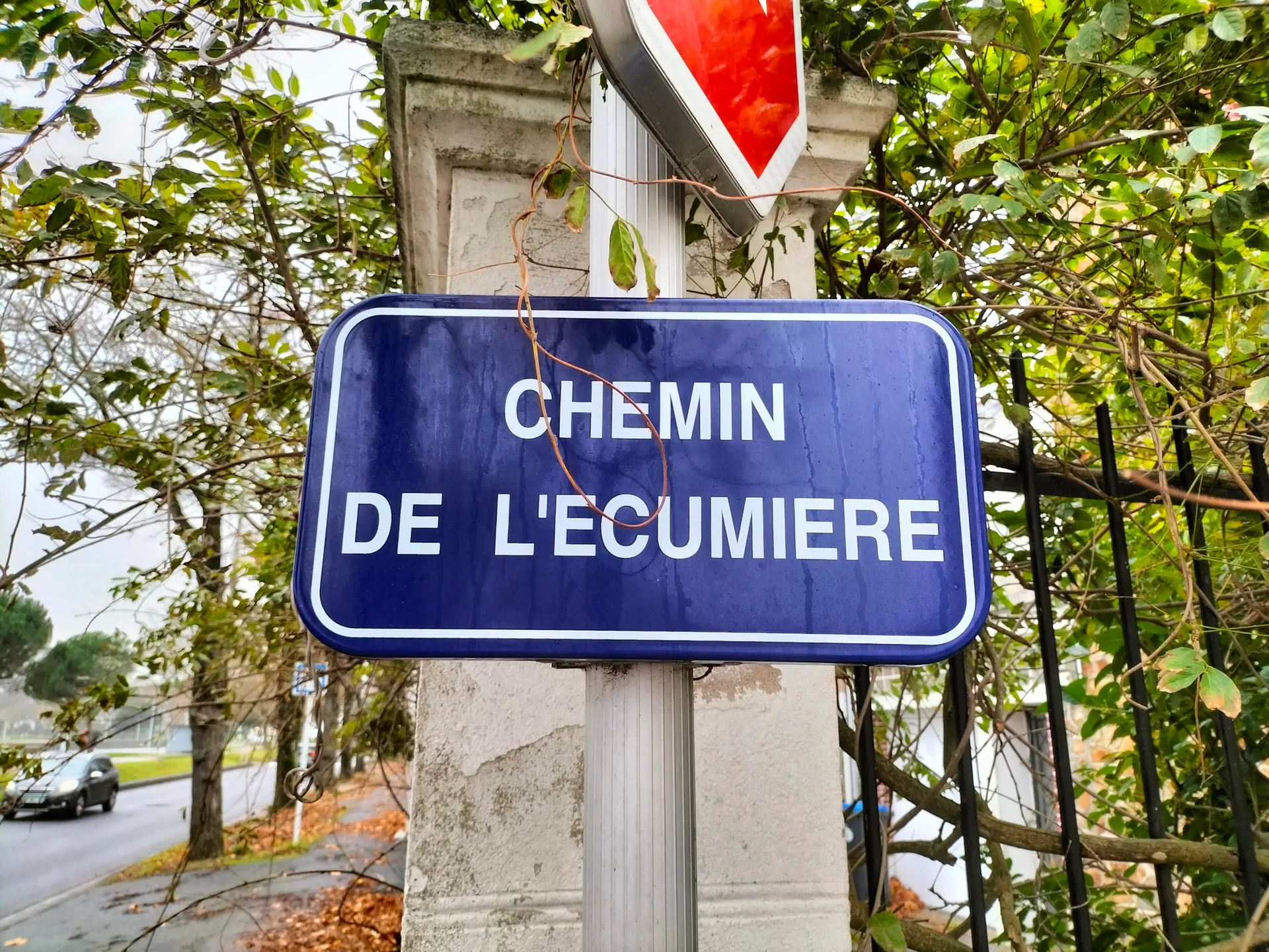 Etang du Bois Joalland à Saint-Nazaire — À 2,7 km du lac