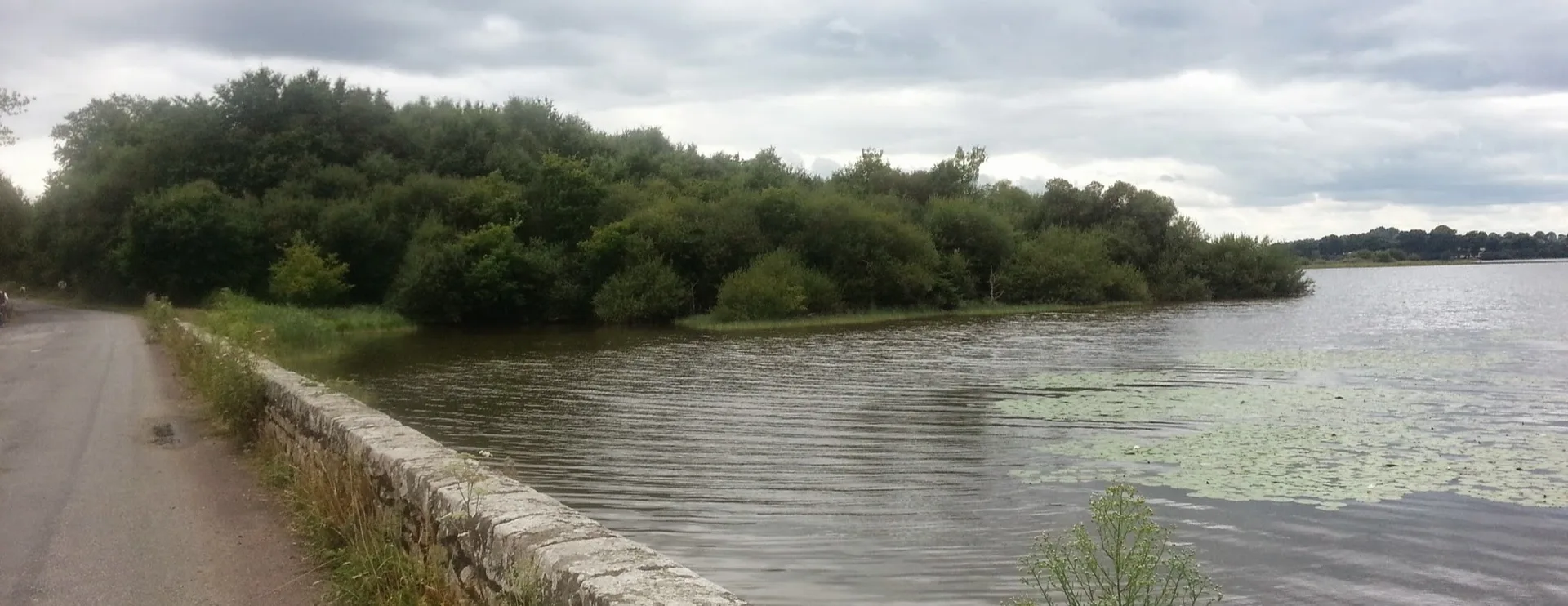 Etang du Boulet à Feins — À 1,1 km du lac