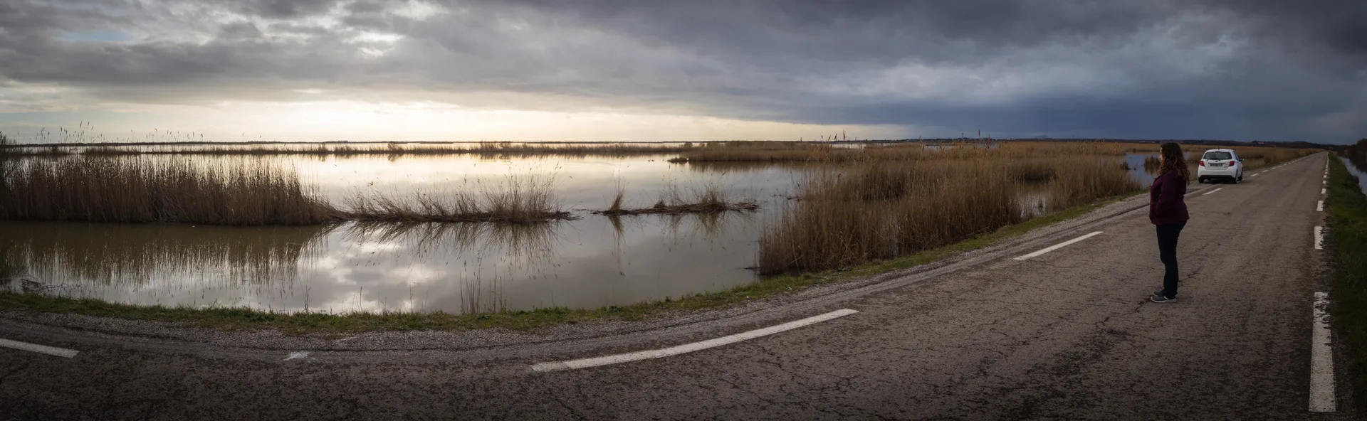 Etang du Charnier à Vauvert — À 1,7 km du lac