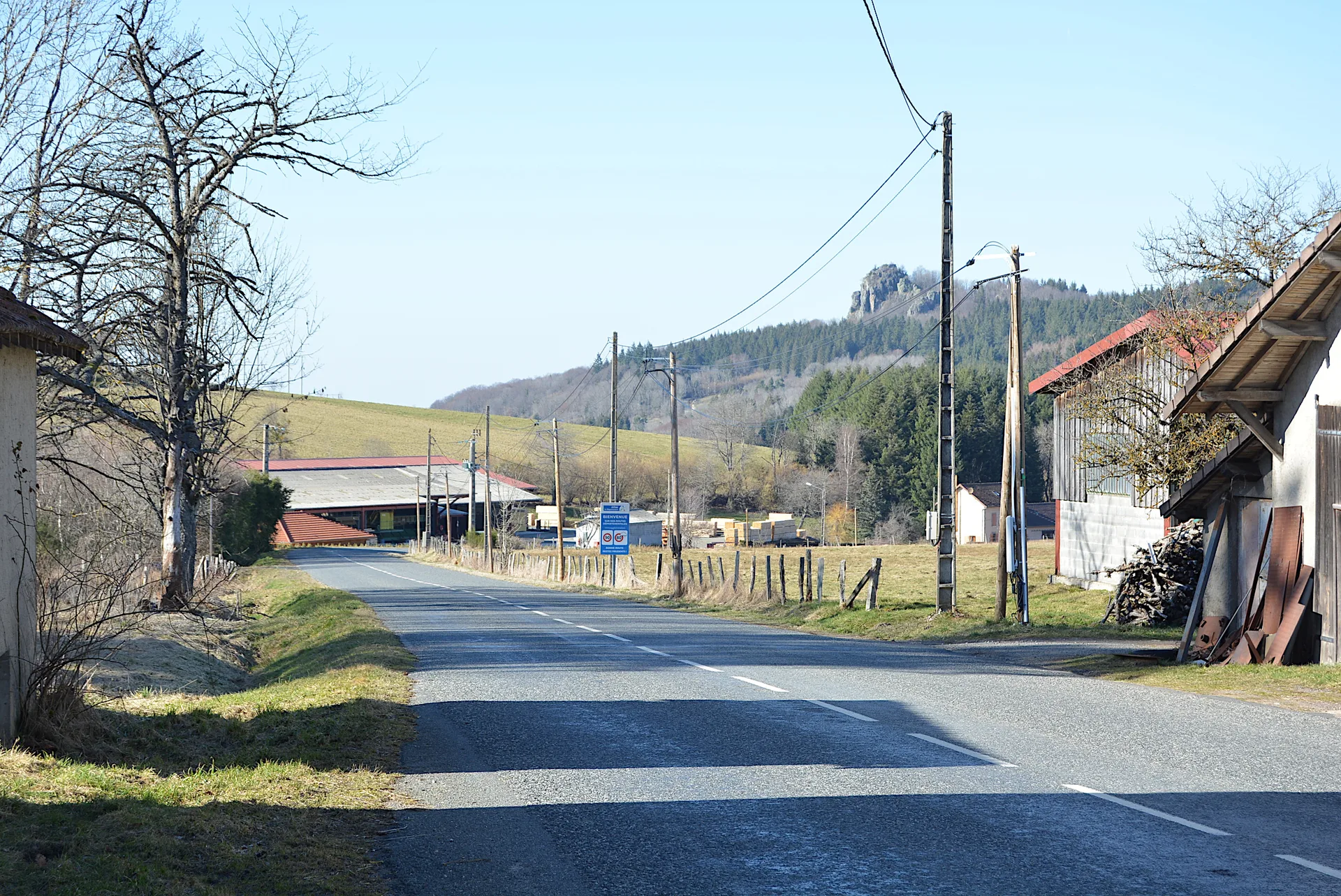 Etang du Charrais à Lavoine — À 1,0 km du lac