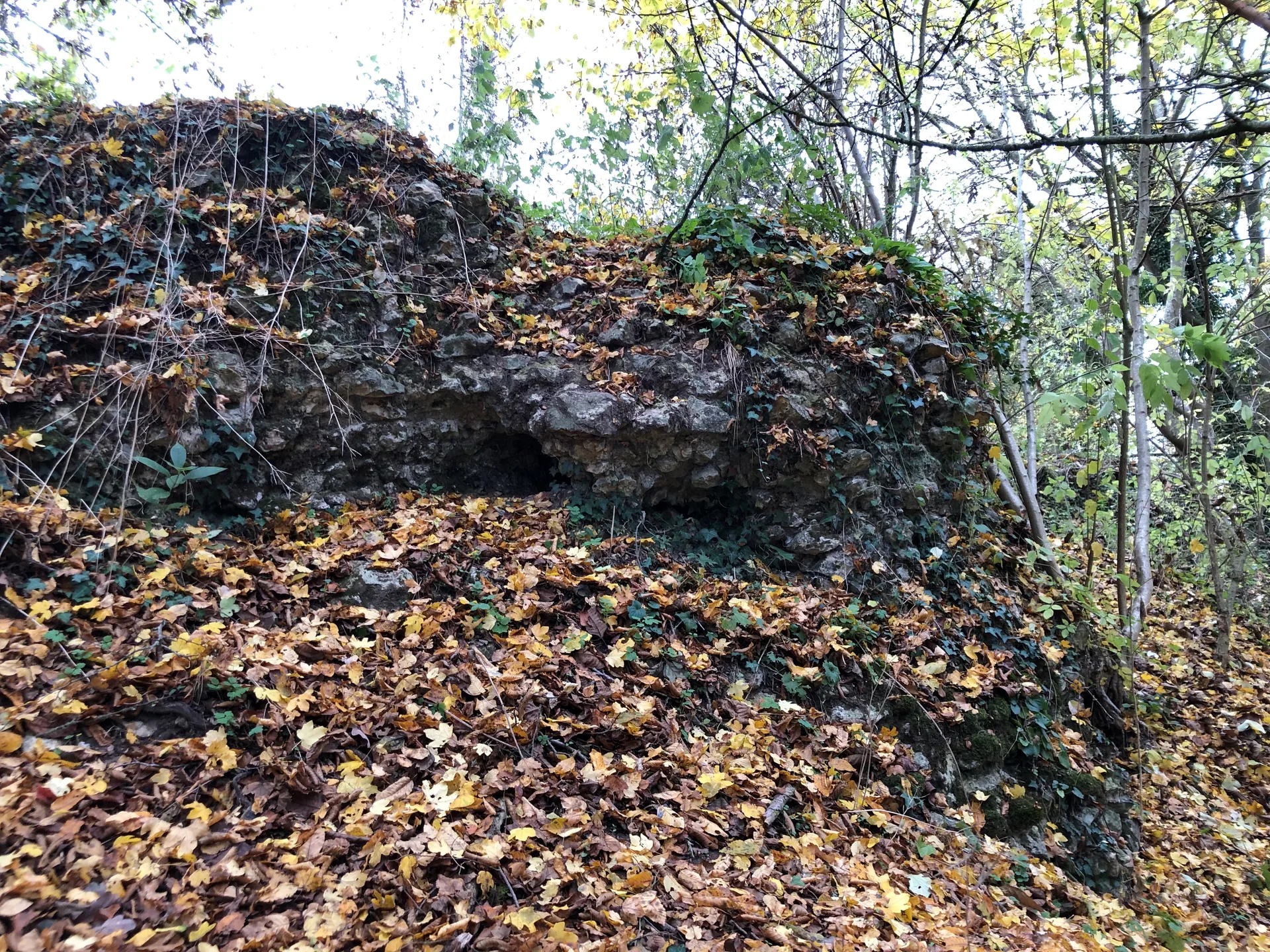 Etang du Chateau à Vert-en-Drouais — À 2,7 km du lac