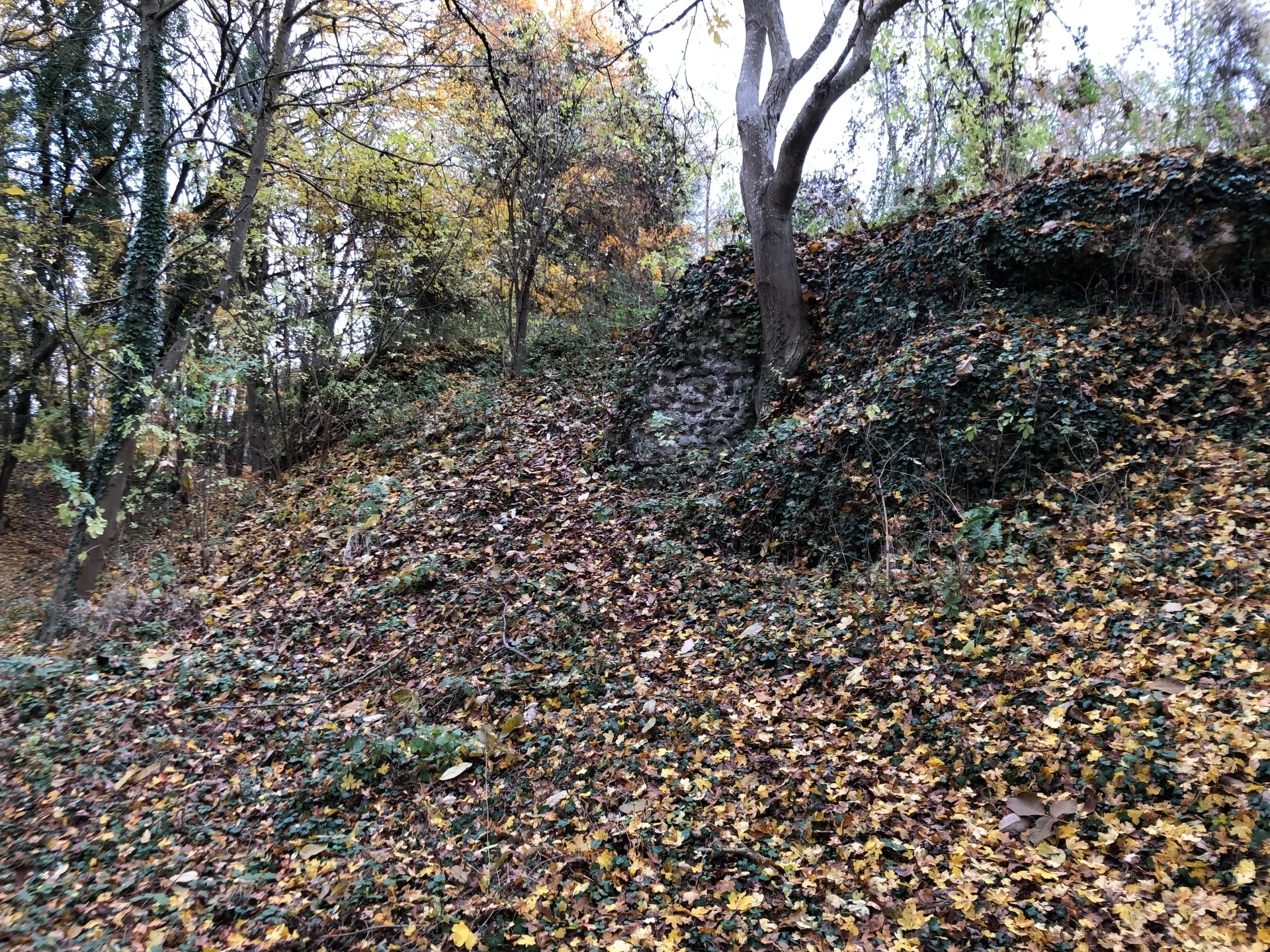 Etang du Chateau à Vert-en-Drouais — À 2,7 km du lac