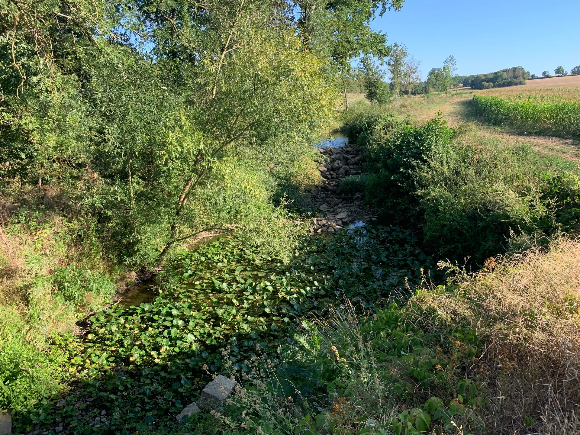 Etang du Chemin à Chevroux — À 1,8 km du lac