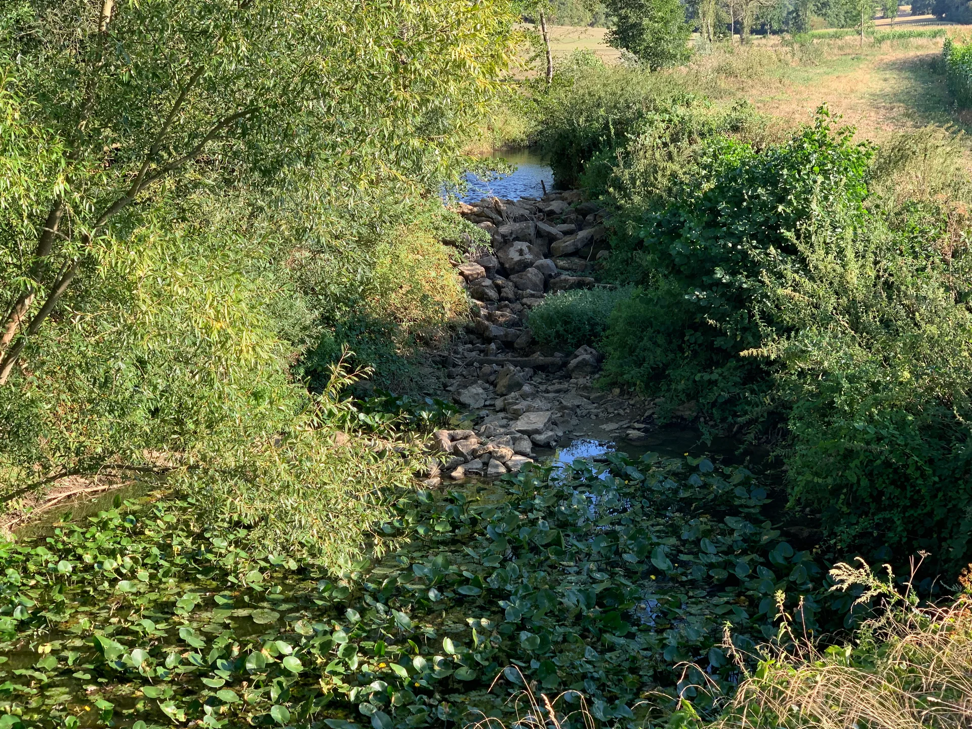 Etang du Chemin à Chevroux — À 1,8 km du lac