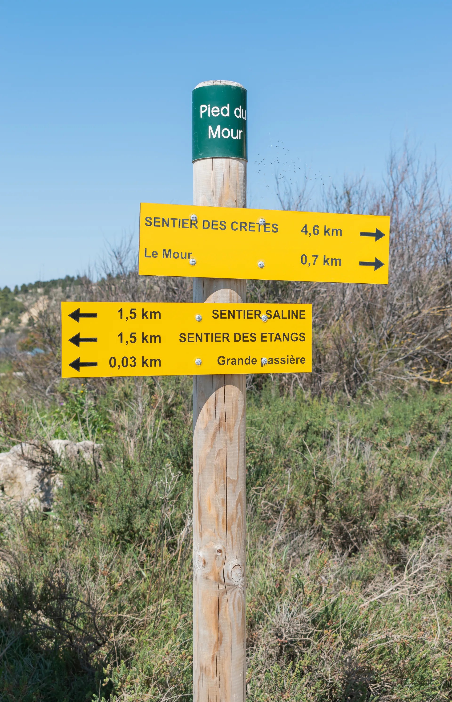 Etang du Doule à Peyriac-de-Mer — À 363 m du lac