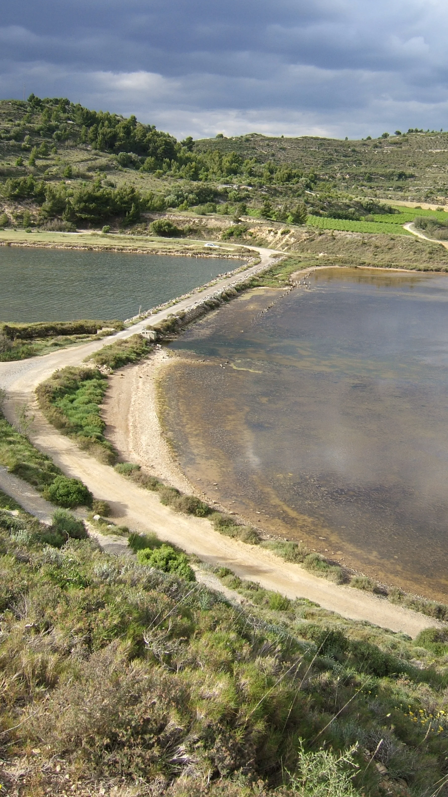 Etang du Doule à Peyriac-de-Mer — Sur le lac
