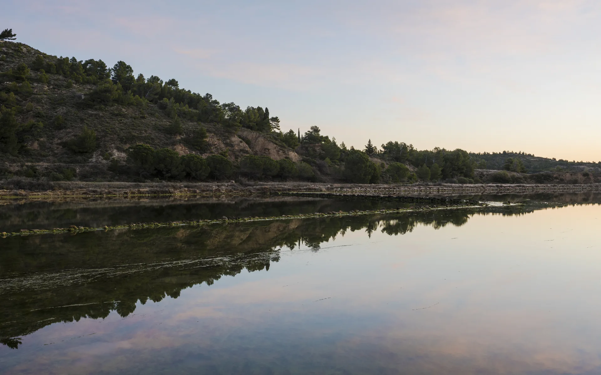 Etang du Doule à Peyriac-de-Mer — À 319 m du lac