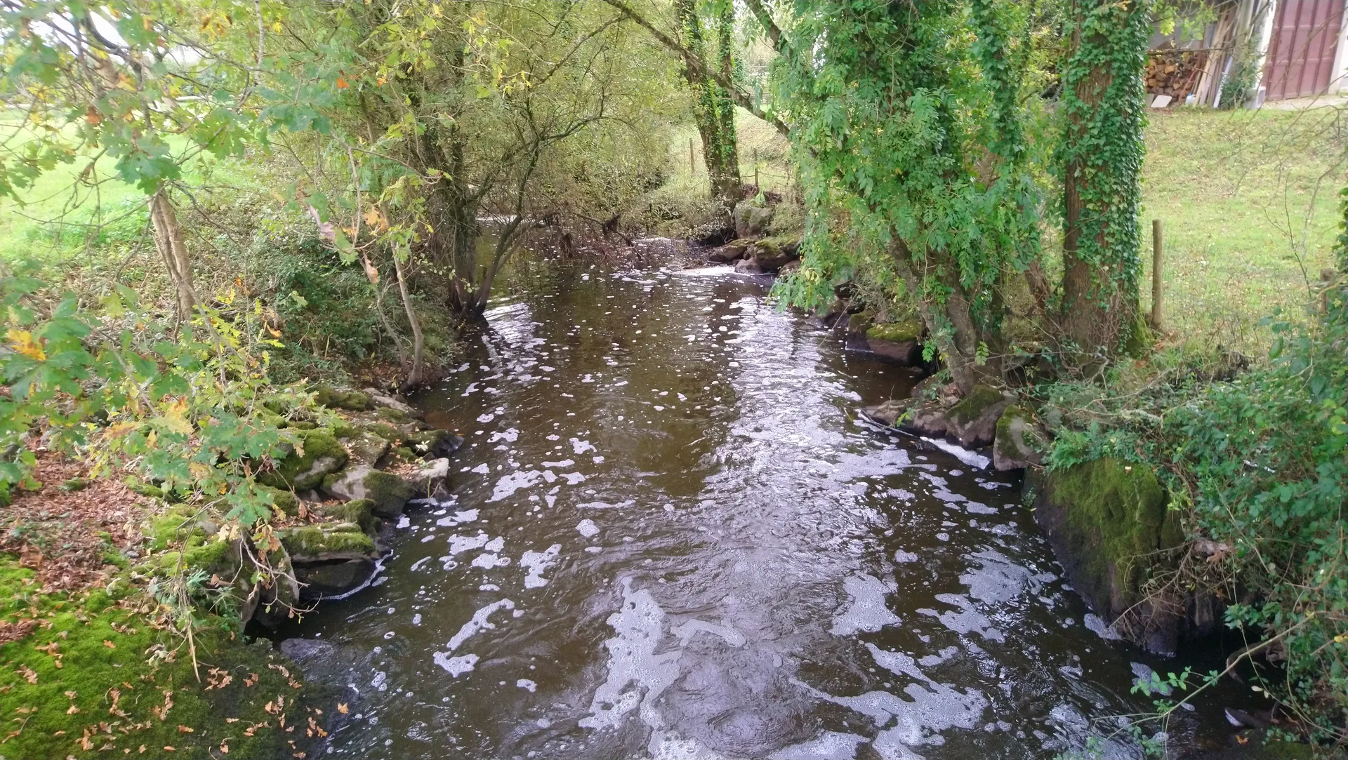 Etang du Gavre à Le Gâvre — Sur le lac