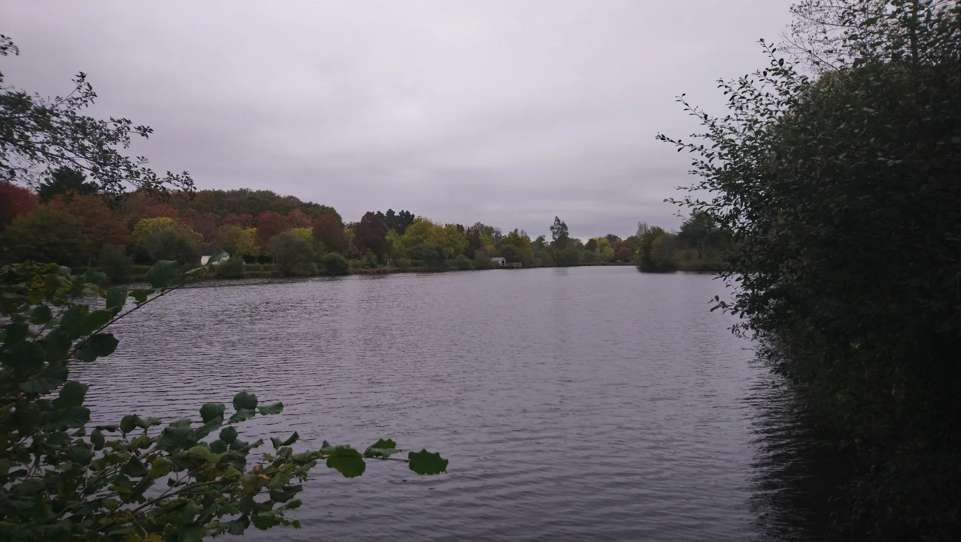 Etang du Gavre à Le Gâvre — Sur le lac