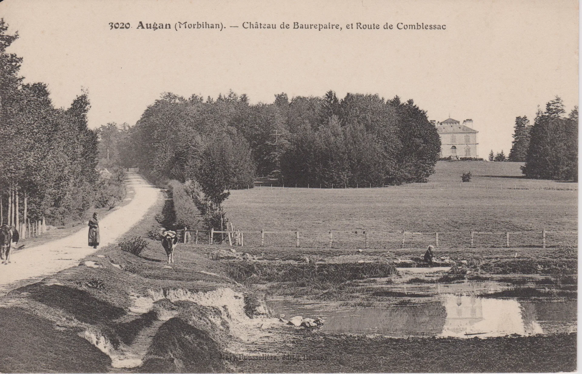Etang du Giblas à Châteauneuf-sur-Loire — À 3,4 km du lac