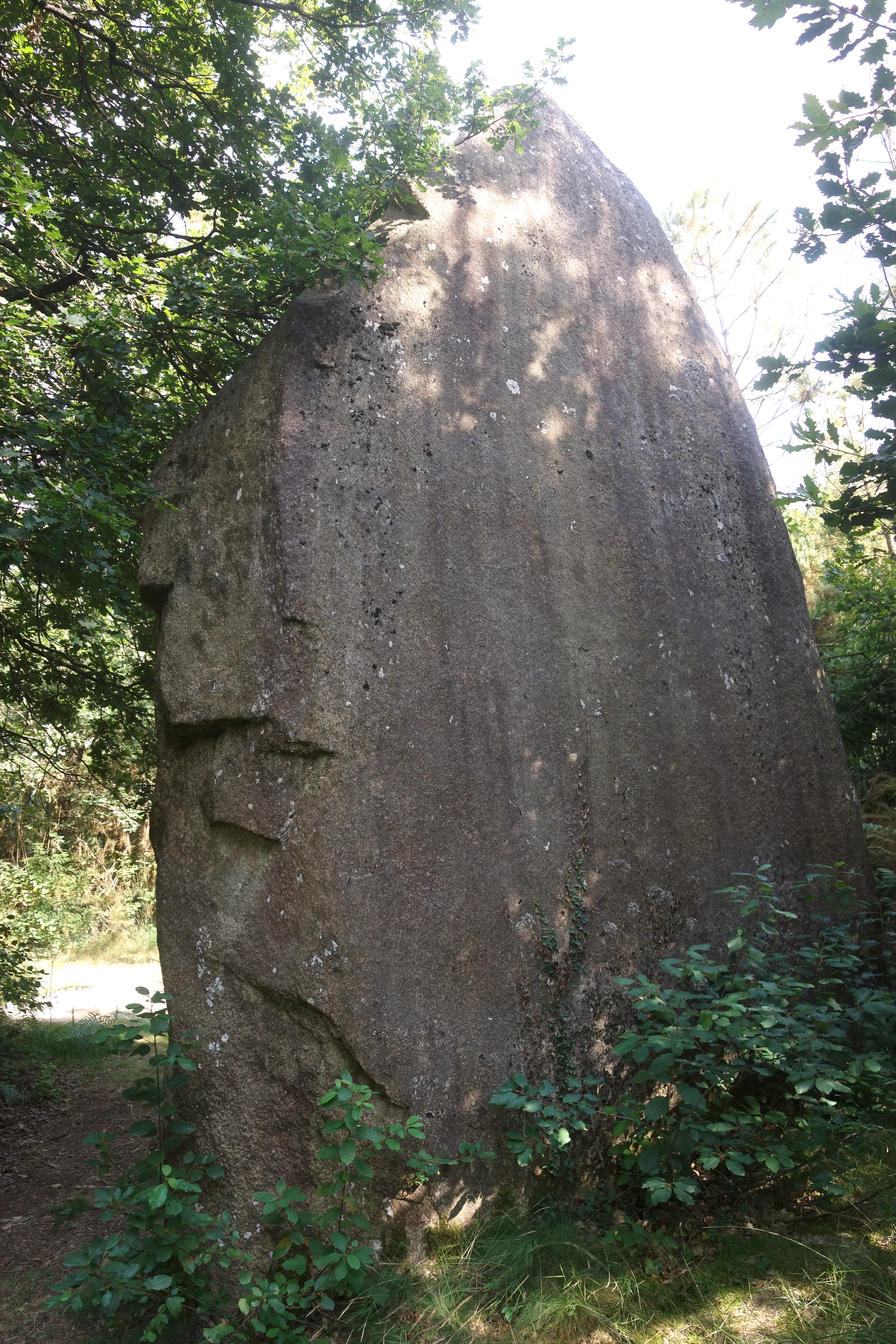 Étang du Grand Gournava à Pluherlin — À 2,7 km du lac