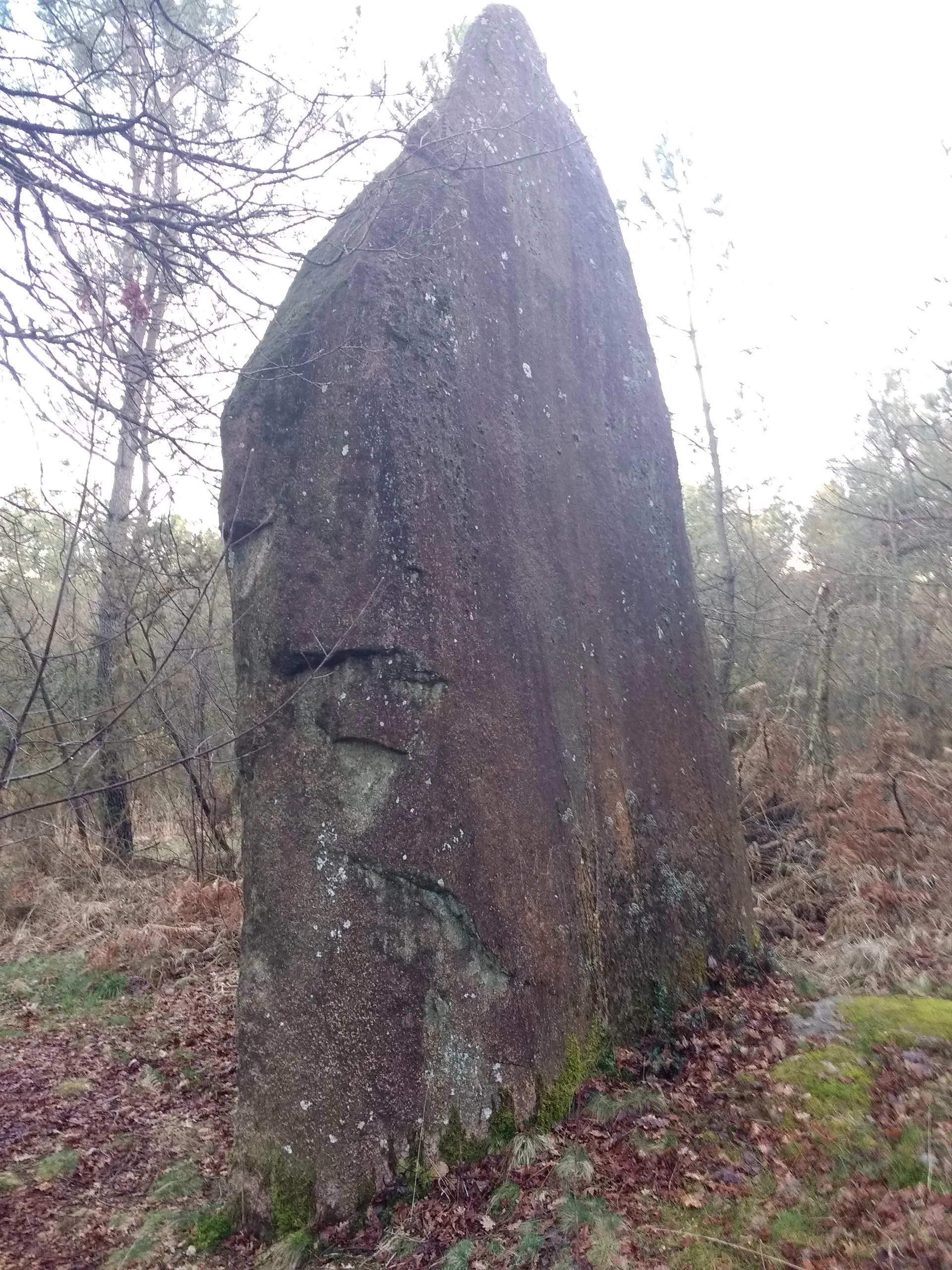 Étang du Grand Gournava à Pluherlin — À 2,7 km du lac