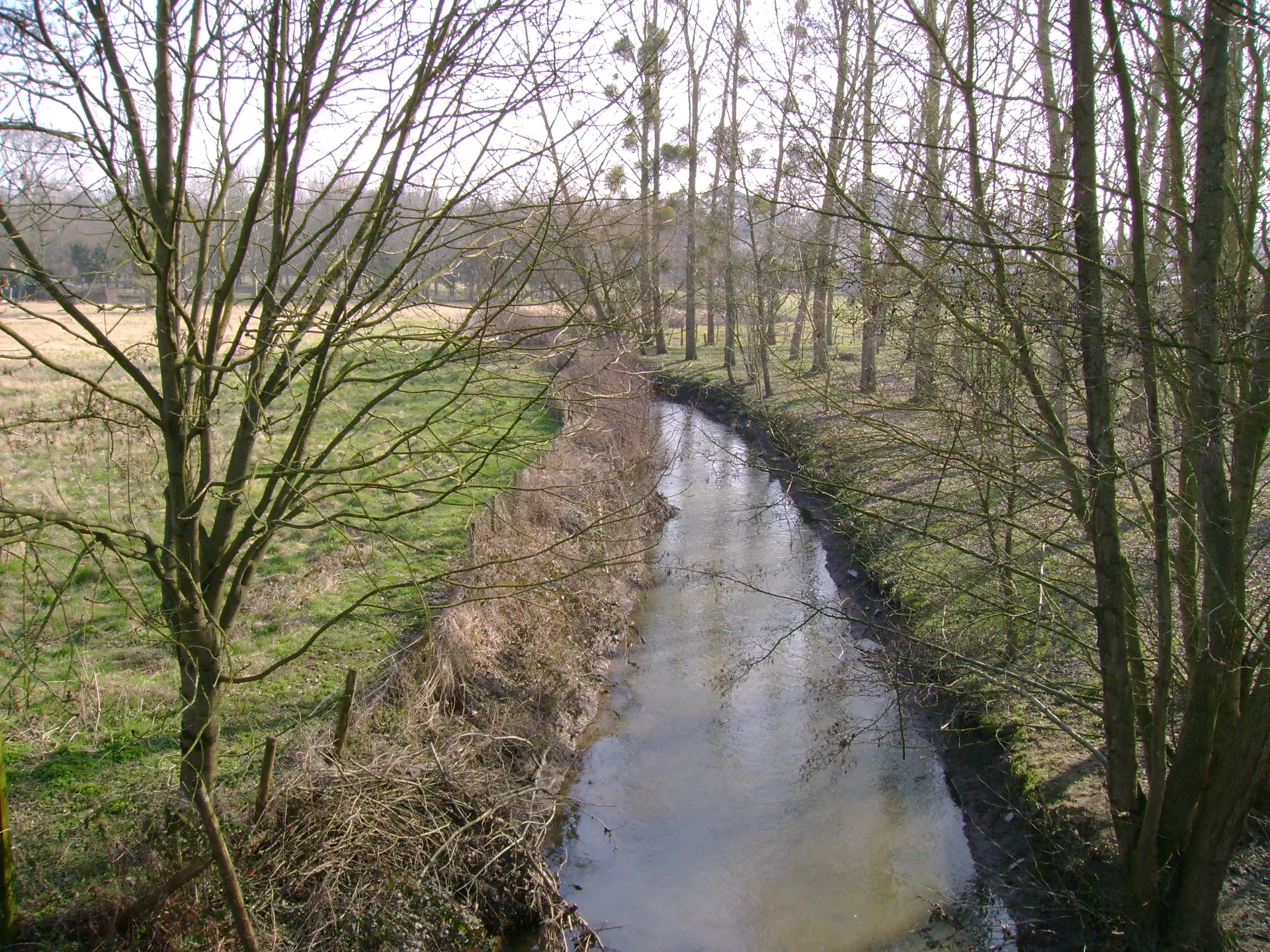 Etang du Grand Moulin à Angrie — À 4,4 km du lac