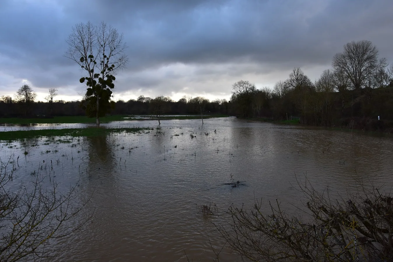 Etang du Grand Pre à Les Forges — À 4,7 km du lac