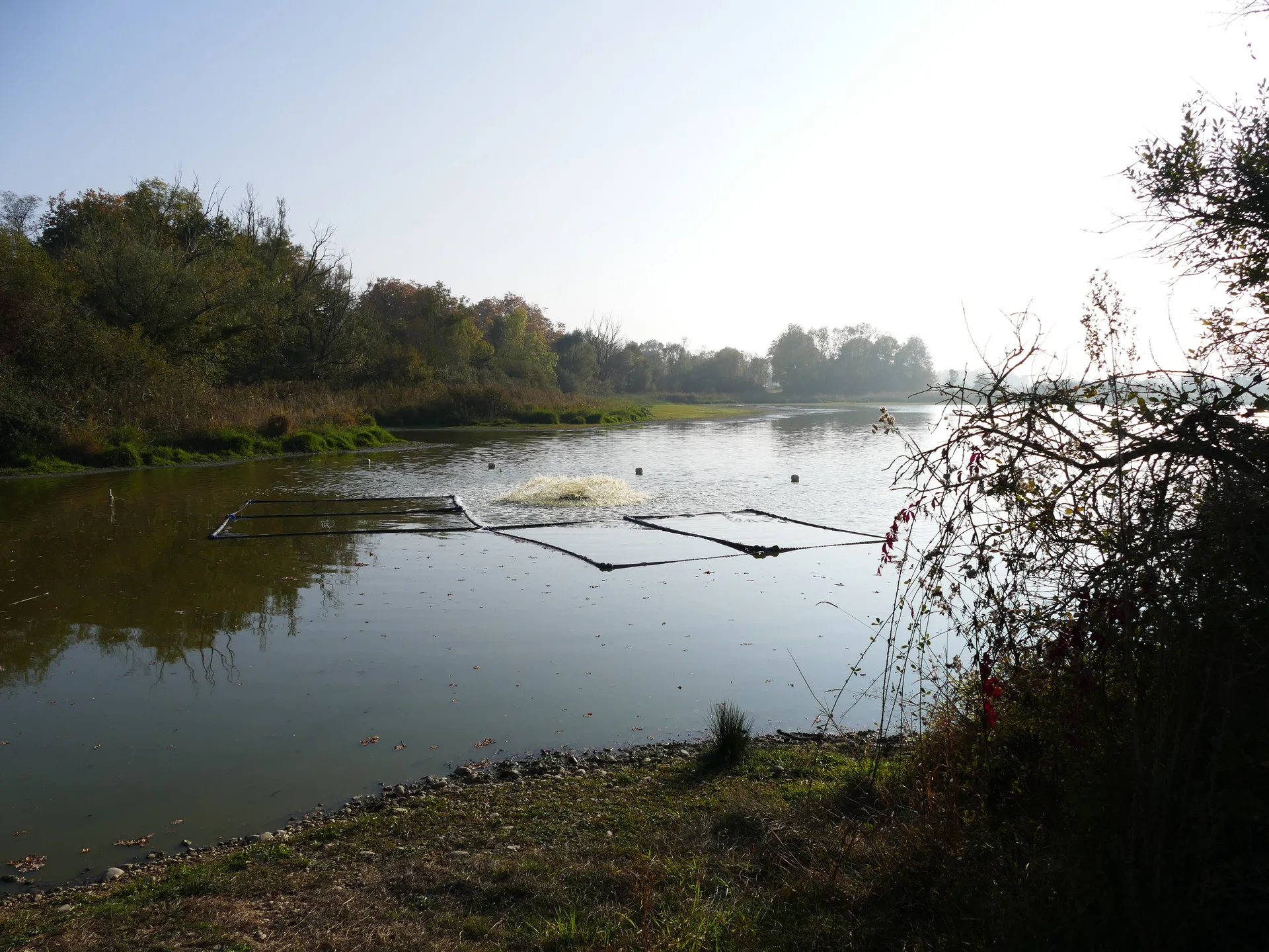Étang du Grand-Turlet à Villars-les-Dombes — À 460 m du lac