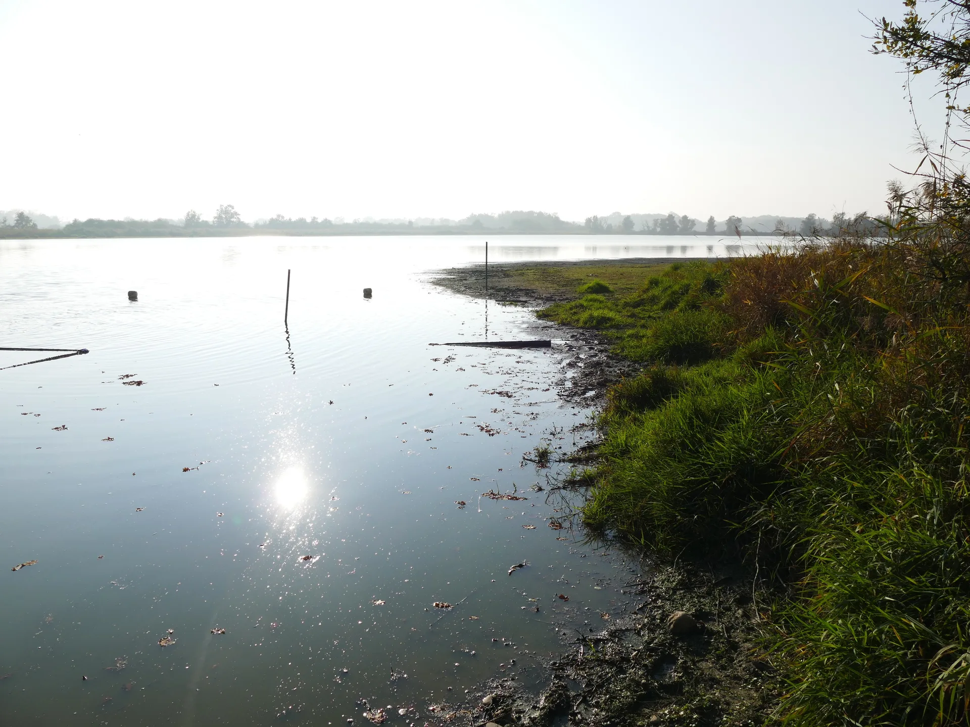 Étang du Grand-Turlet à Villars-les-Dombes — À 460 m du lac
