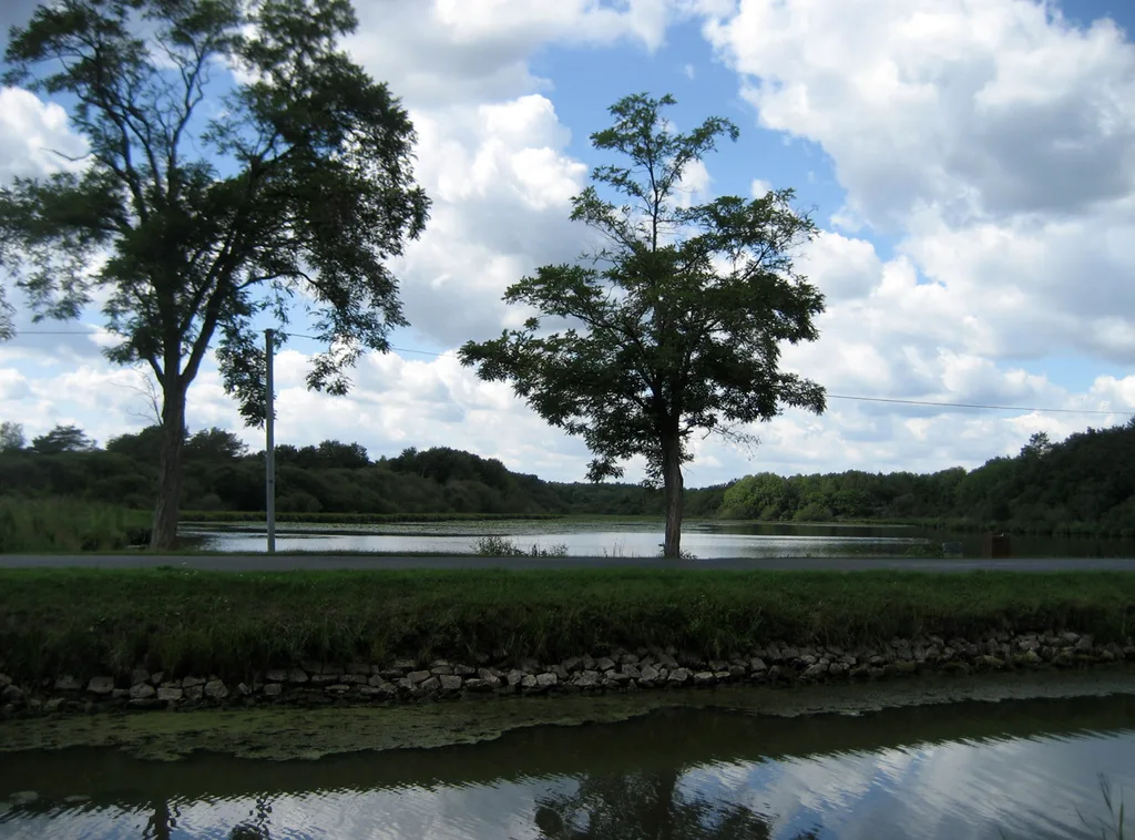 Etang du Gue des Cens, Vieilles-Maisons-sur-Joudry