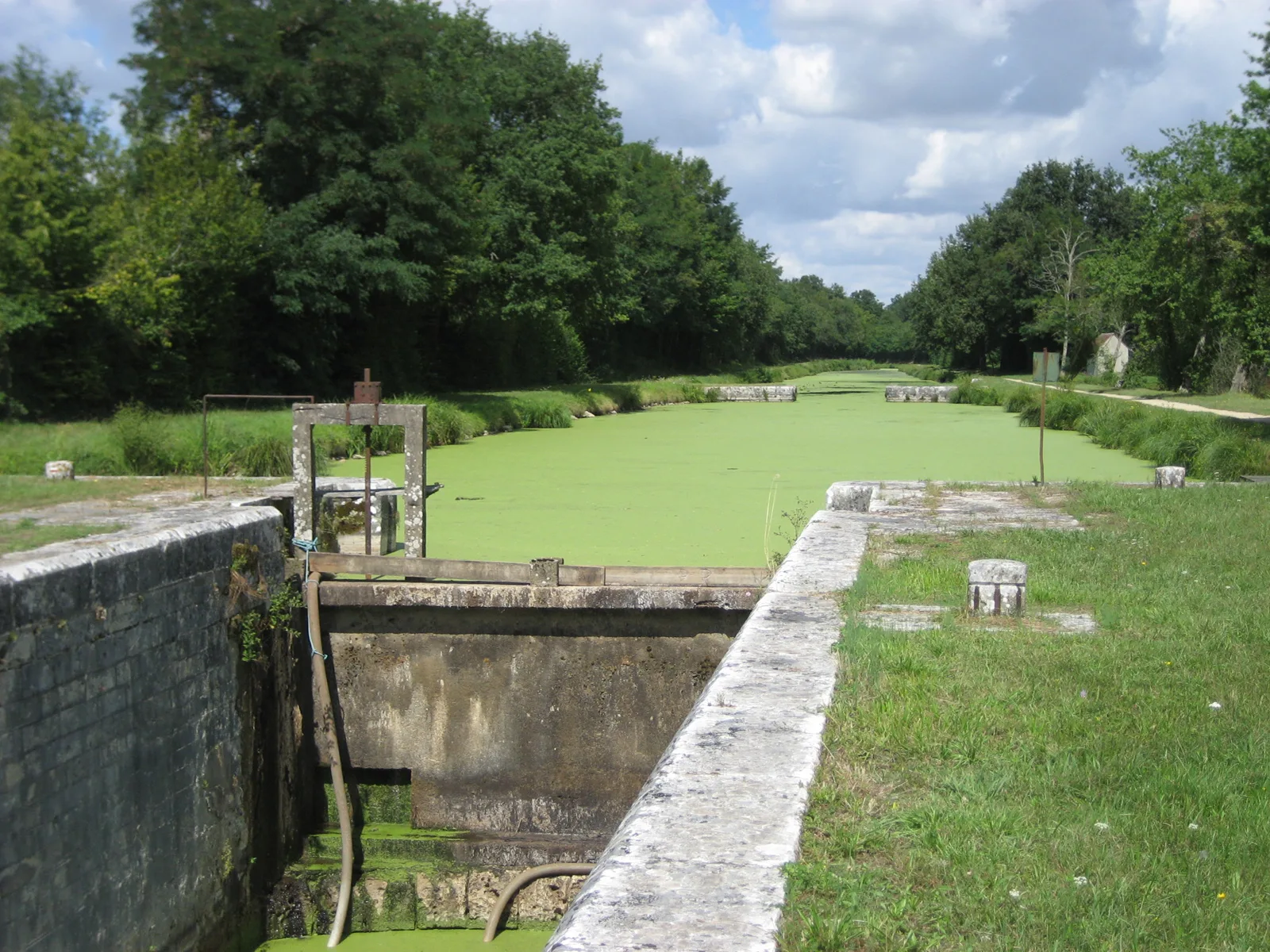 Etang du Gue des Cens à Vieilles-Maisons-sur-Joudry — À 346 m du lac