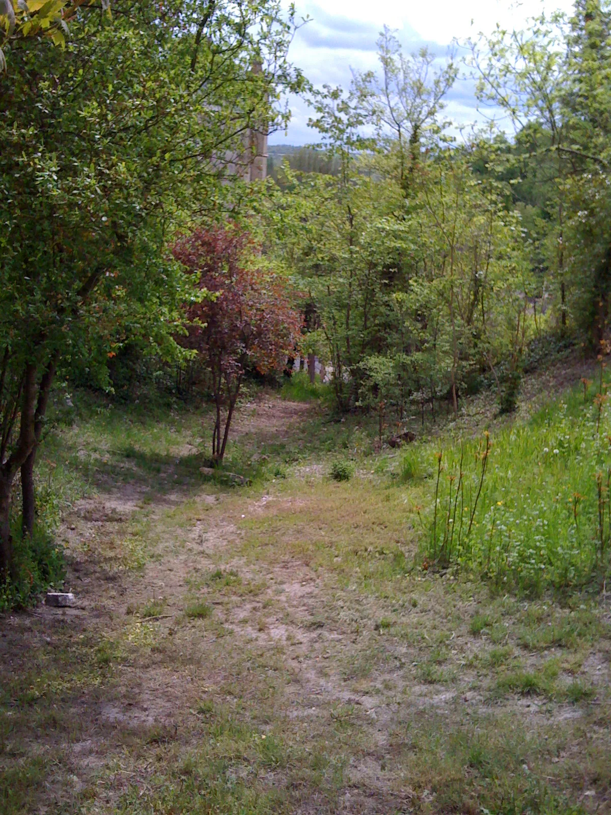 Etang du Hamel à Garennes-sur-Eure — À 3,0 km du lac
