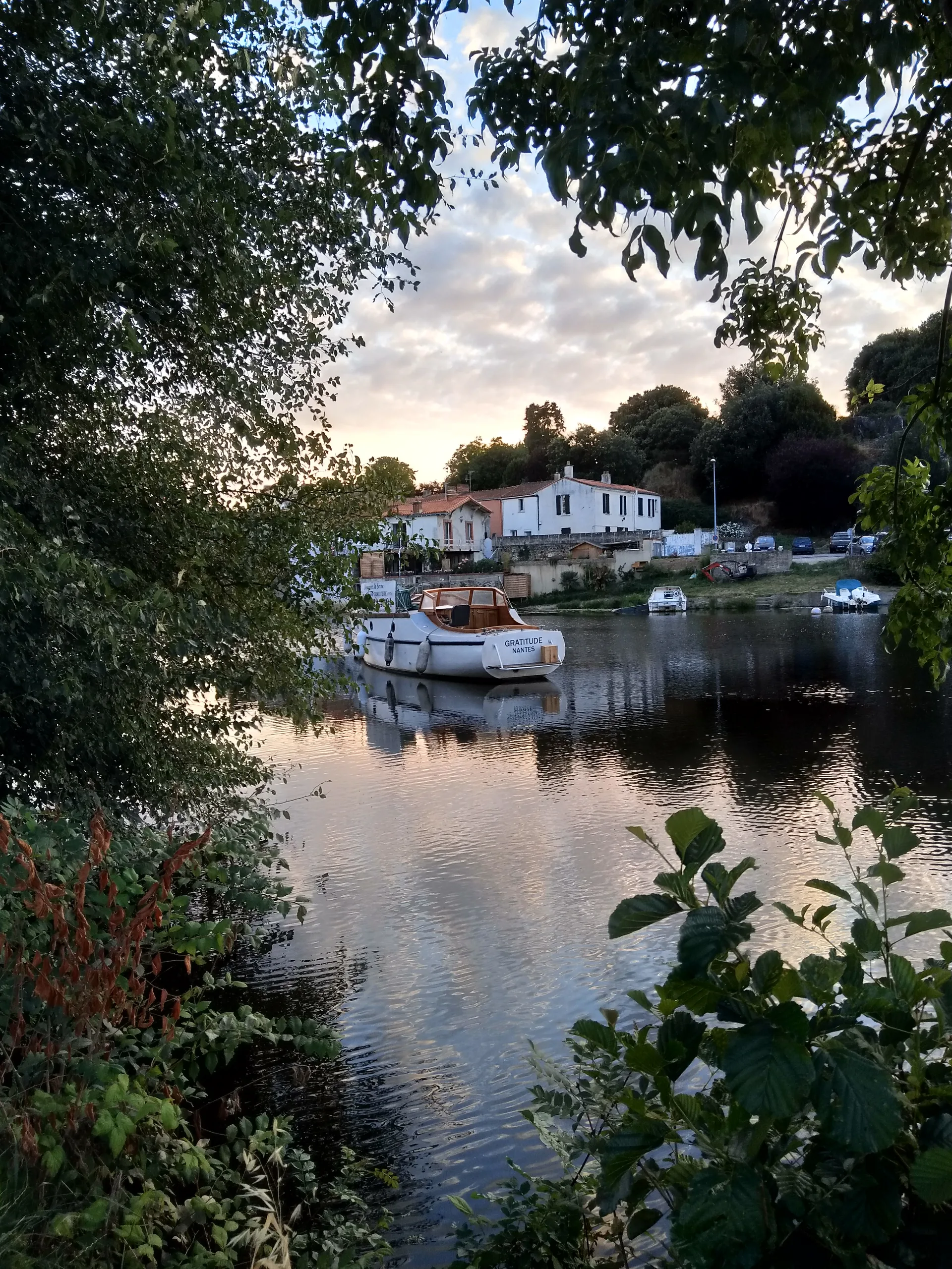 Etang du Loiry à Vertou — À 473 m du lac
