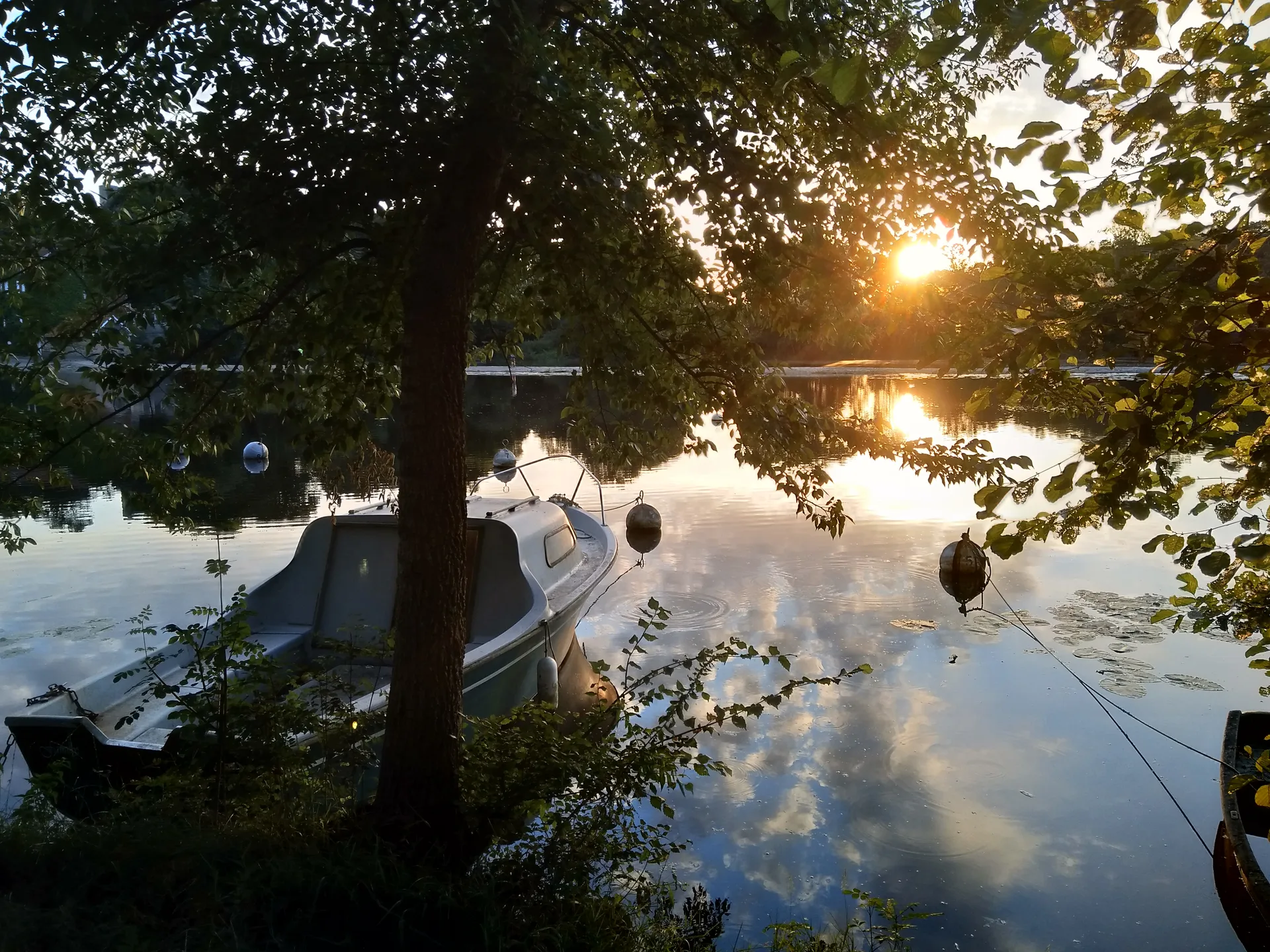 Etang du Loiry à Vertou — À 575 m du lac