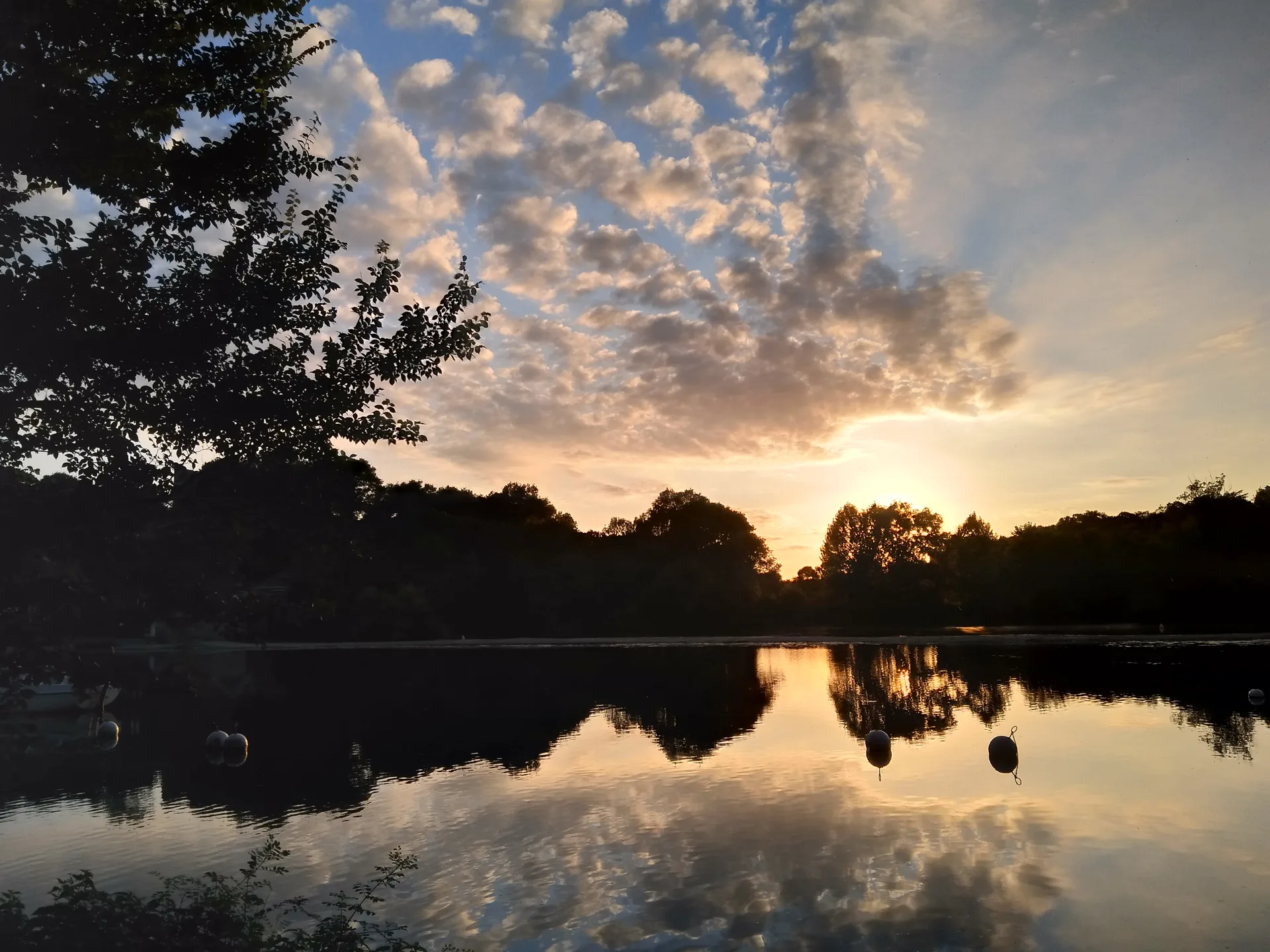 Etang du Loiry à Vertou — À 578 m du lac