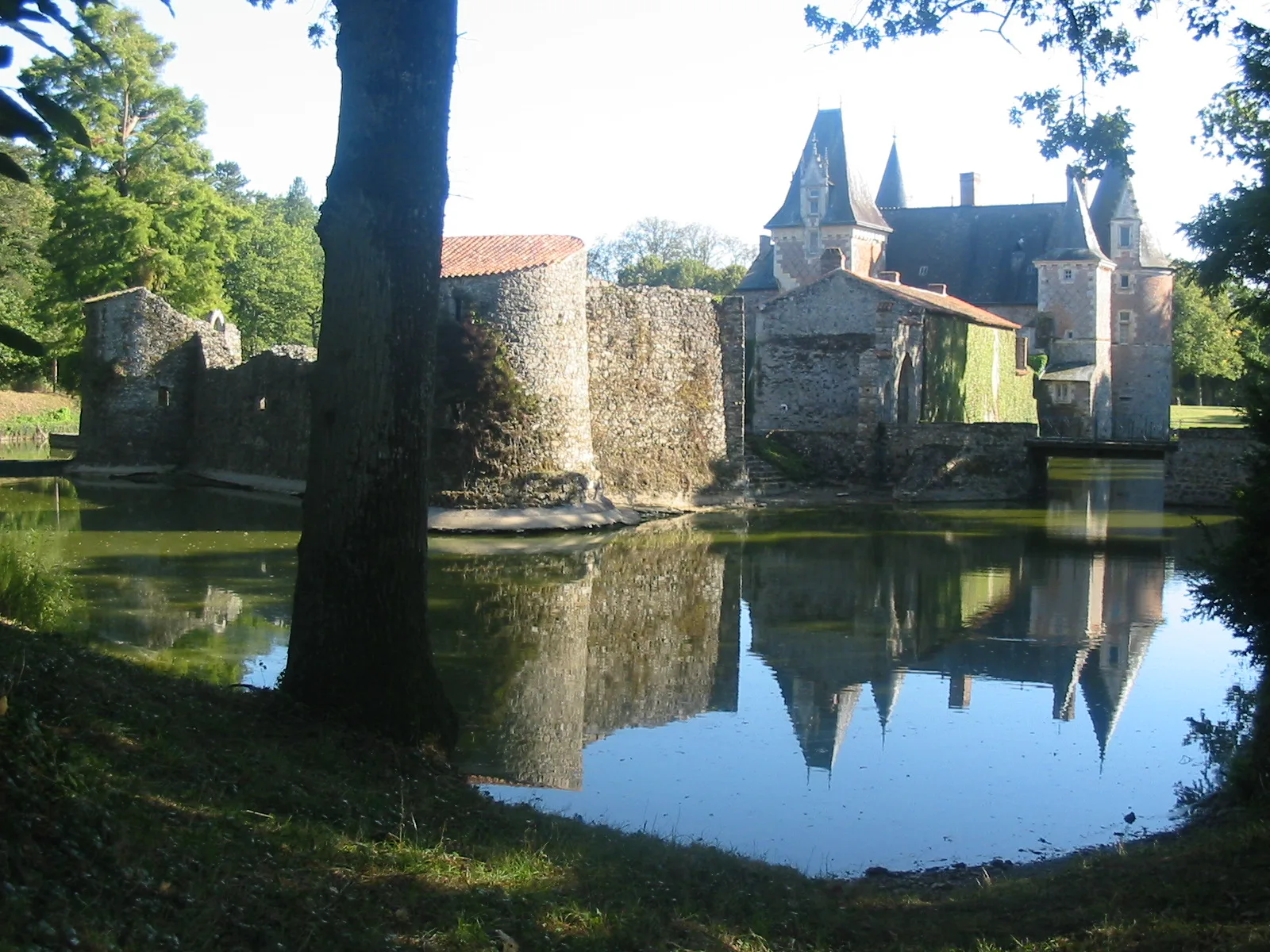 Etang du Lys à Lys-Haut-Layon — À 2,5 km du lac