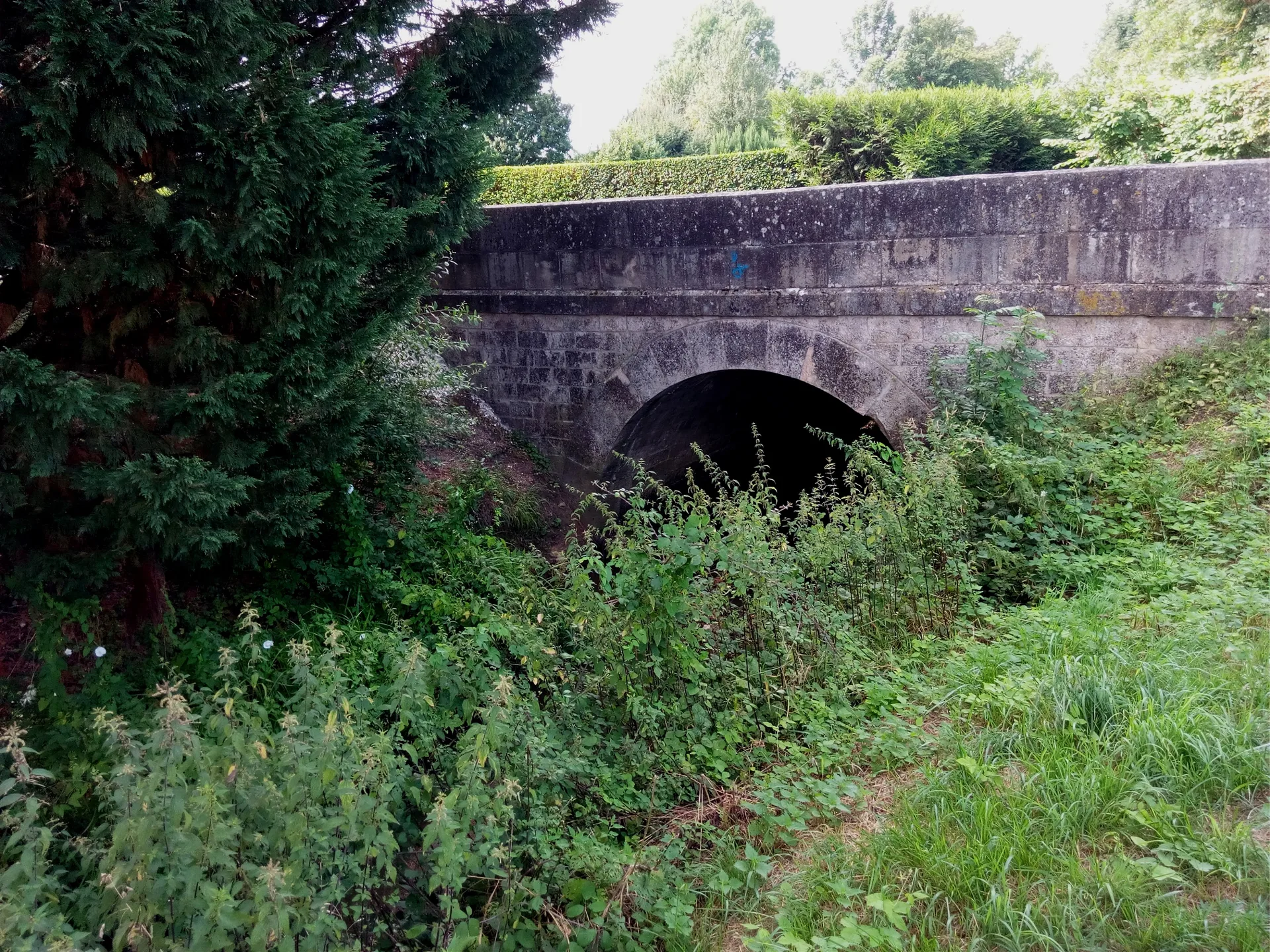 Etang du Marais à Chevillon-sur-Huillard — À 4,6 km du lac
