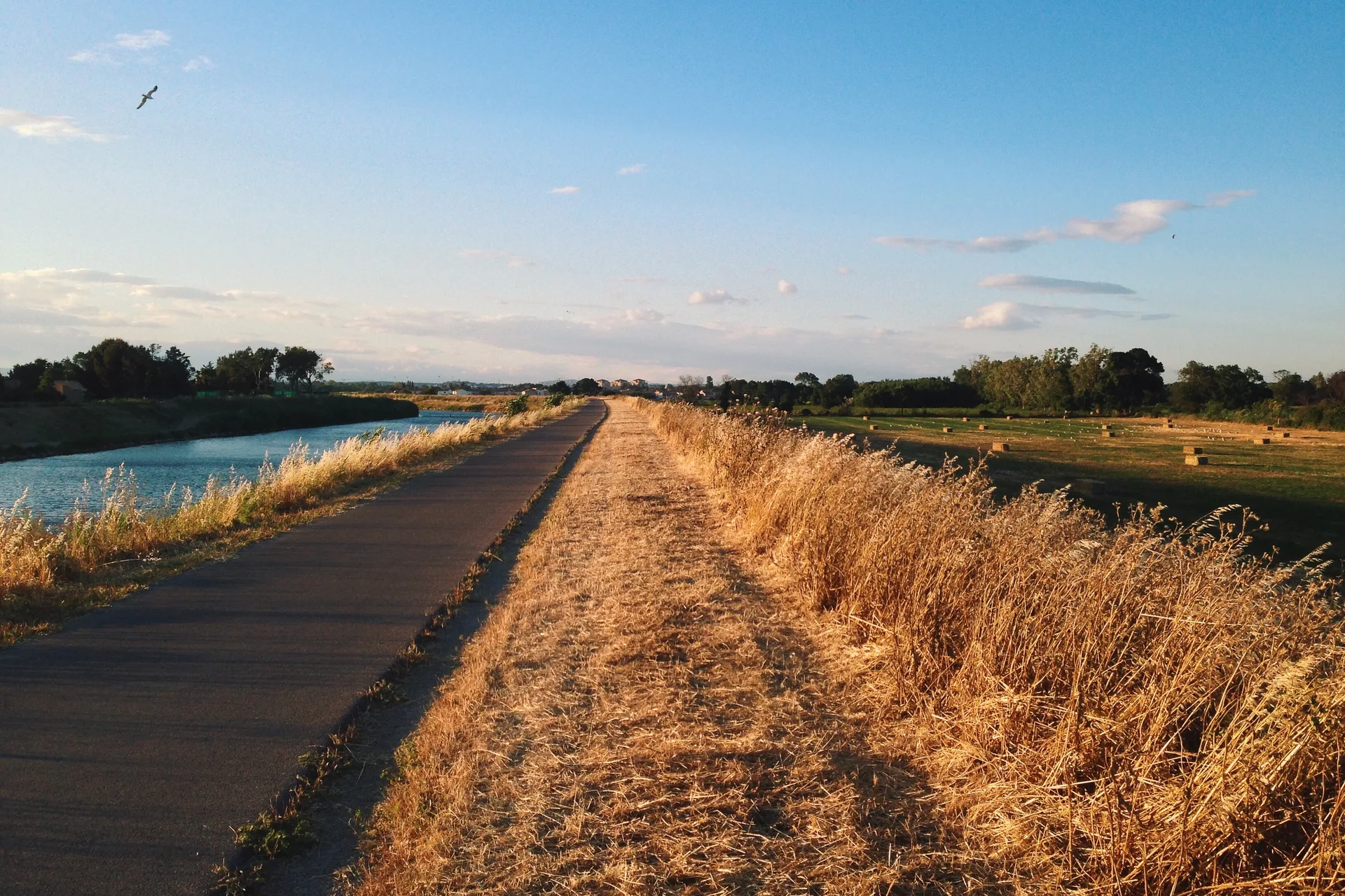 Etang du Mejean à Lattes — À 1,2 km du lac