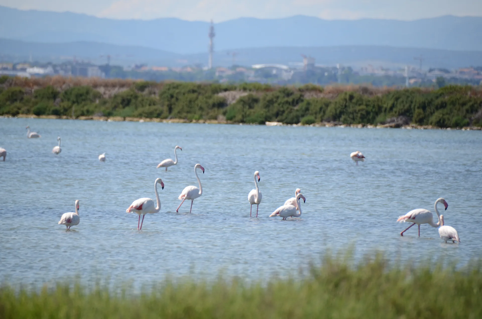 Etang du Mejean à Lattes — À 1,4 km du lac