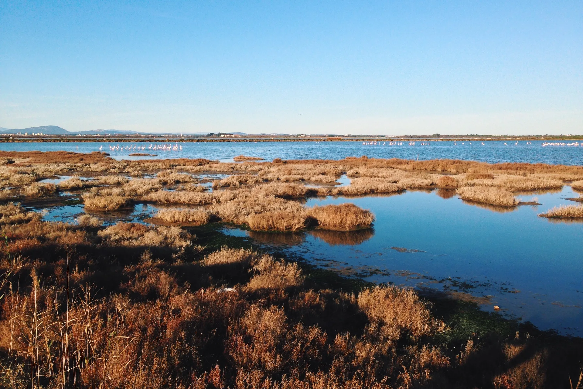 Etang du Mejean à Lattes — À 1,5 km du lac