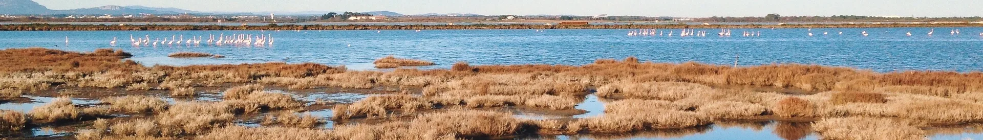 Etang du Mejean à Lattes — À 1,5 km du lac