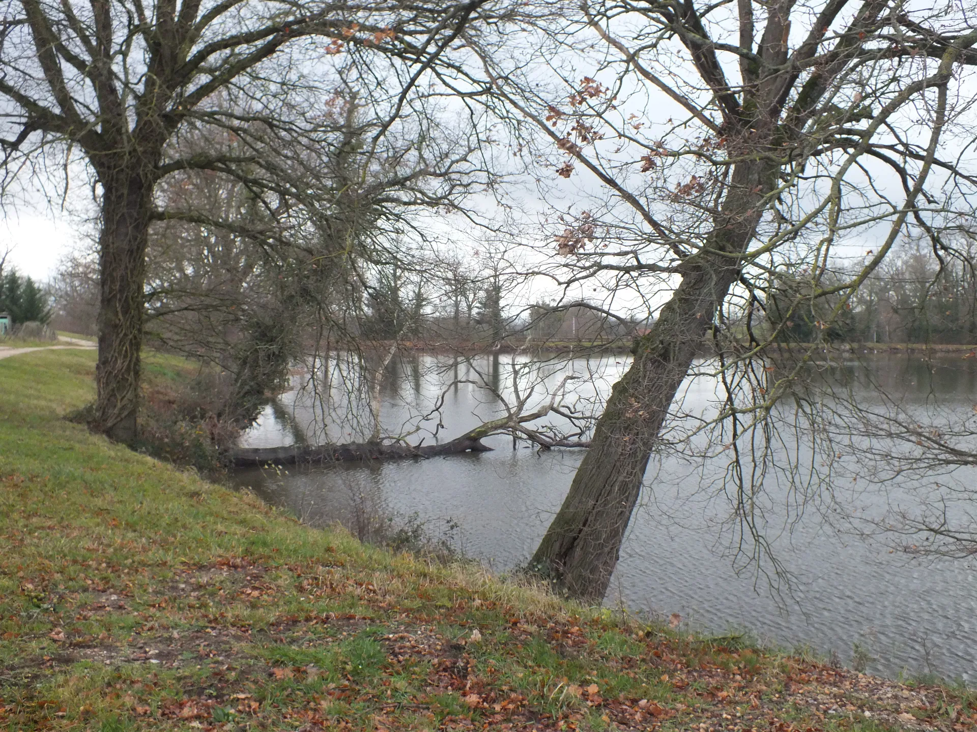 Etang du moulin à Saint-Gérand-de-Vaux — Sur le lac