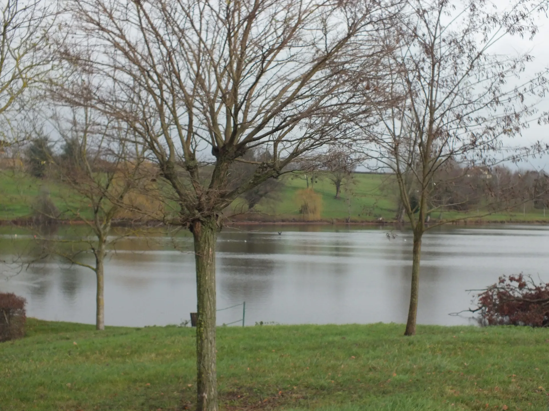Etang du moulin à Saint-Gérand-de-Vaux — À 317 m du lac