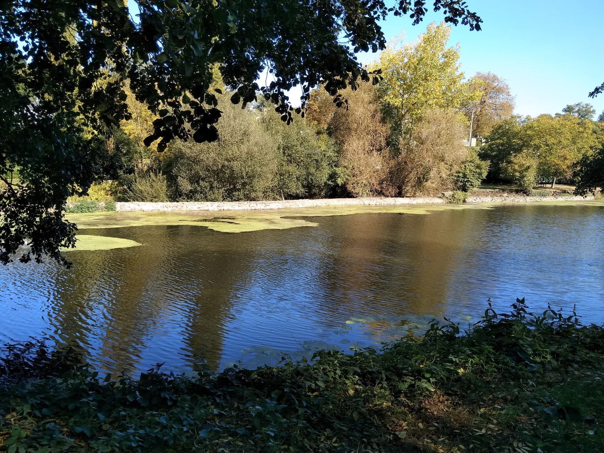 Etang du Pavillon à Sèvremoine — À 3,4 km du lac