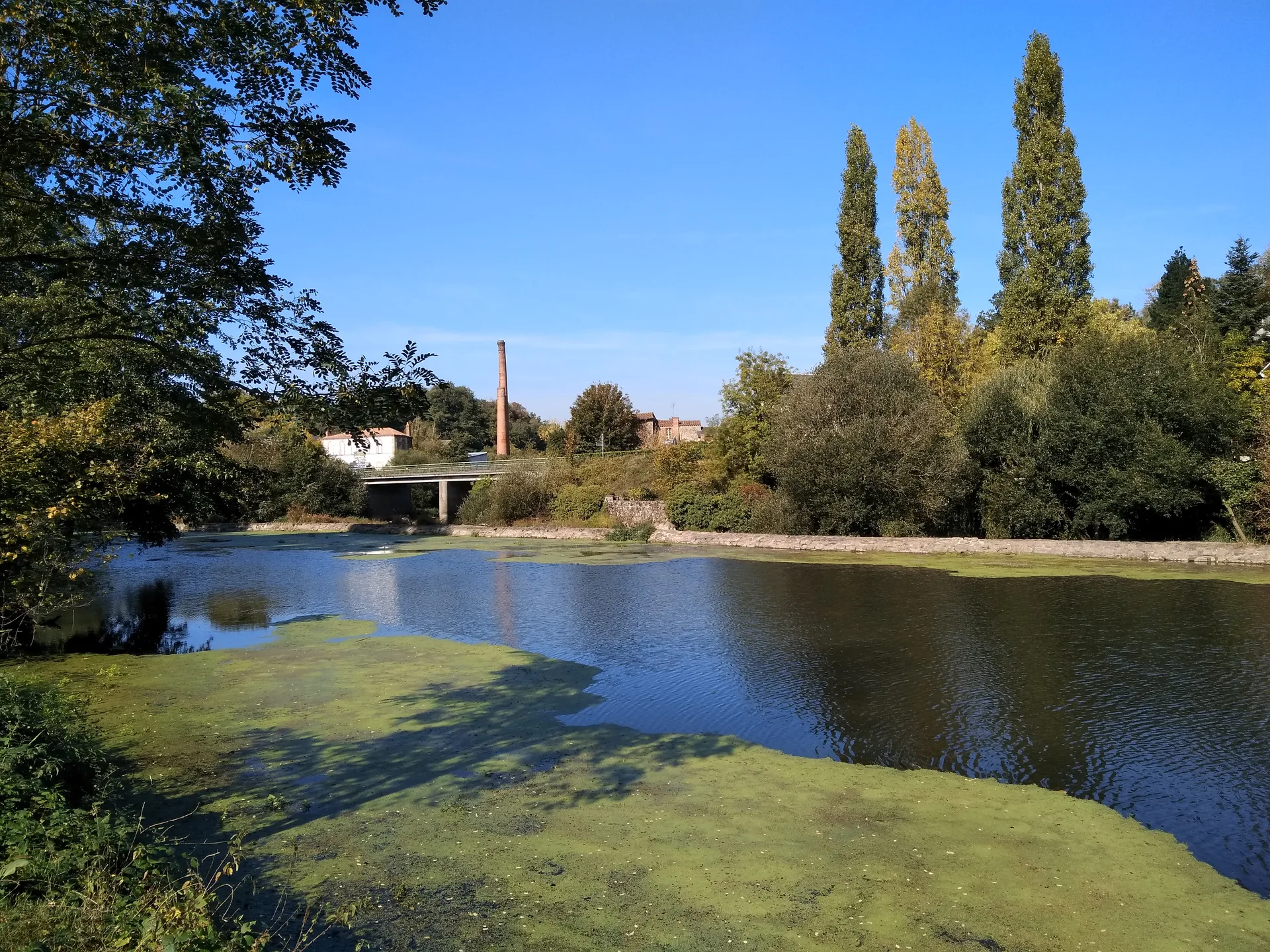 Etang du Pavillon à Sèvremoine — À 3,4 km du lac