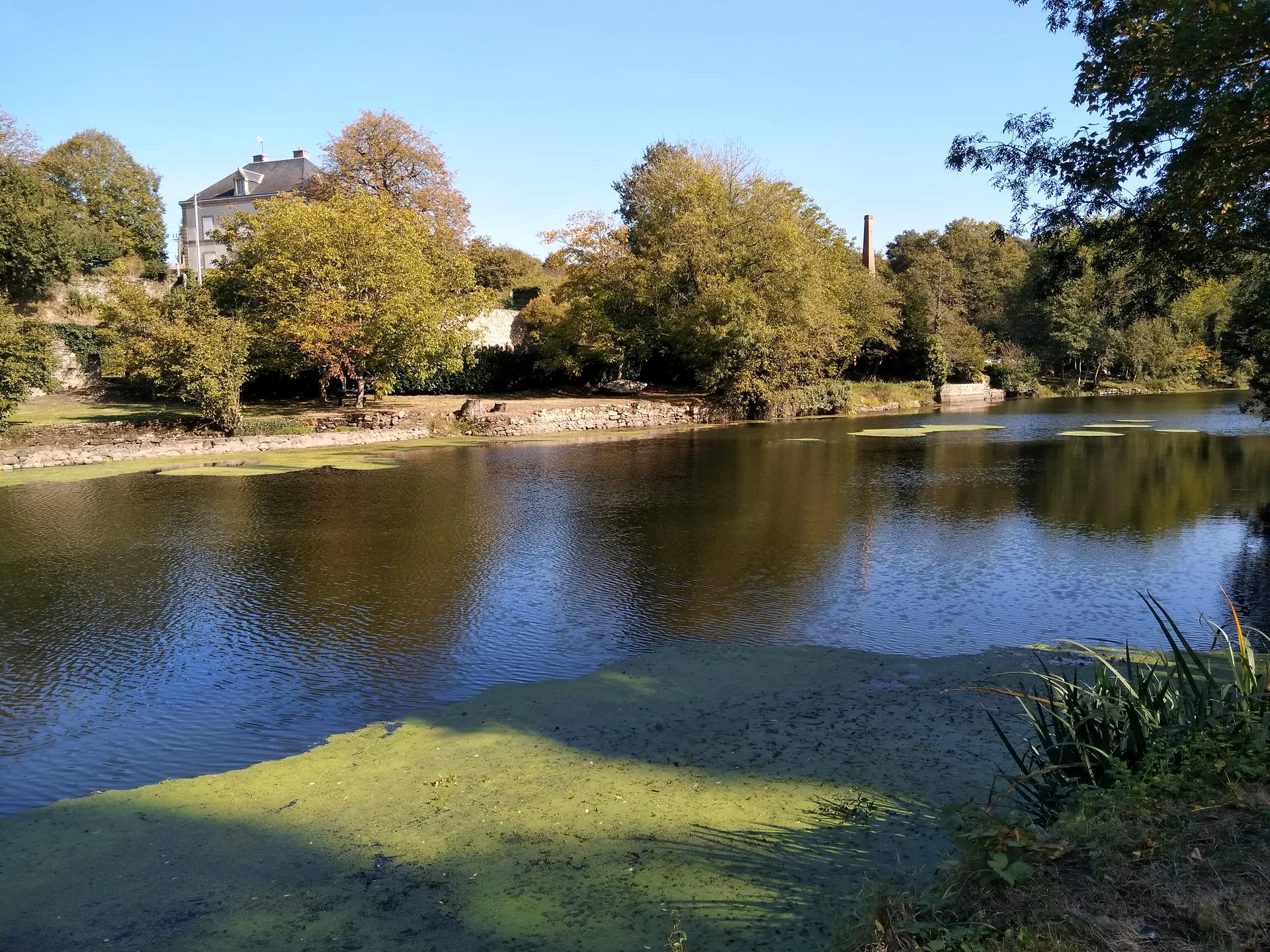 Etang du Pavillon à Sèvremoine — À 3,4 km du lac