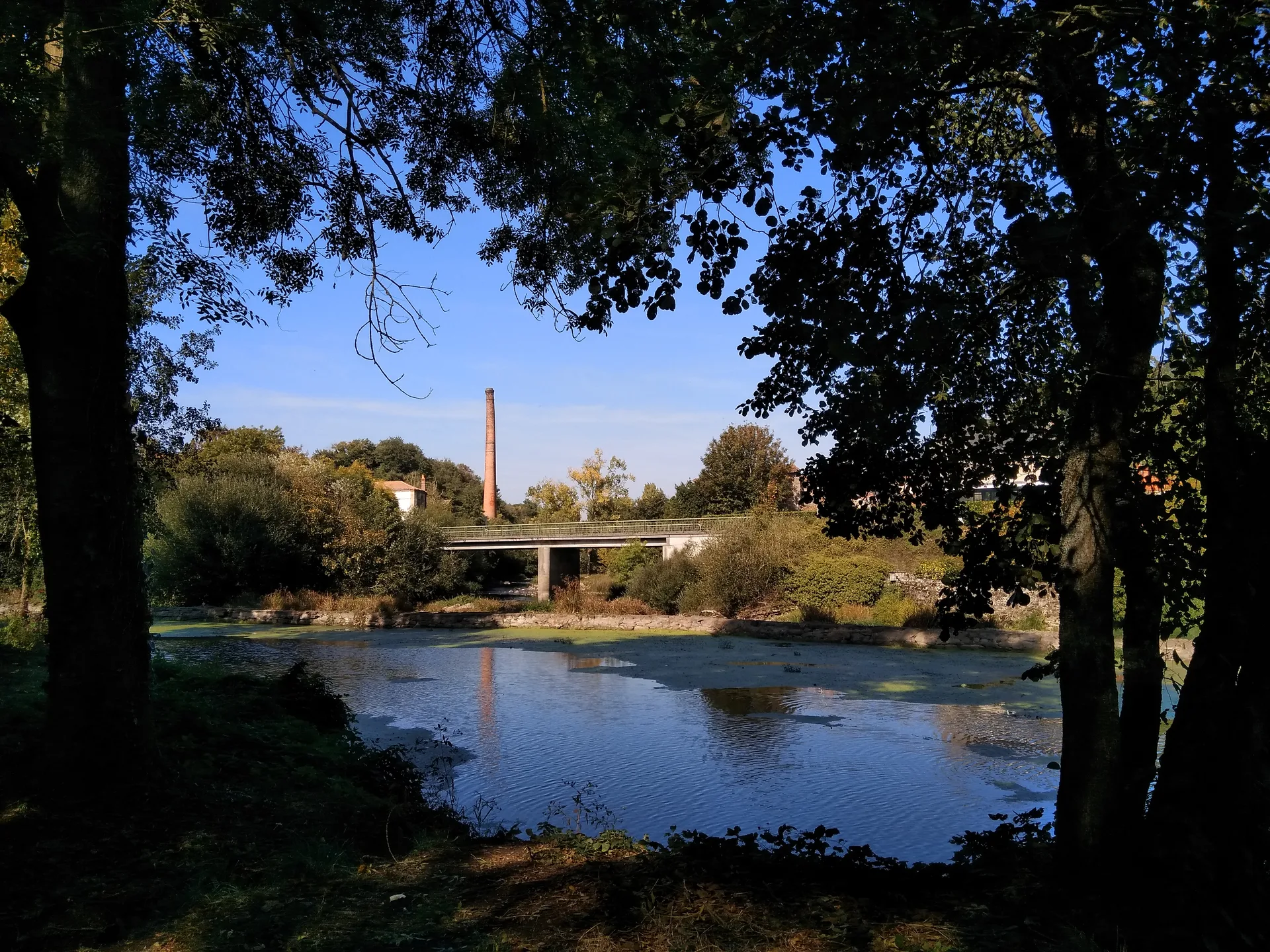 Etang du Pavillon à Sèvremoine — À 3,4 km du lac