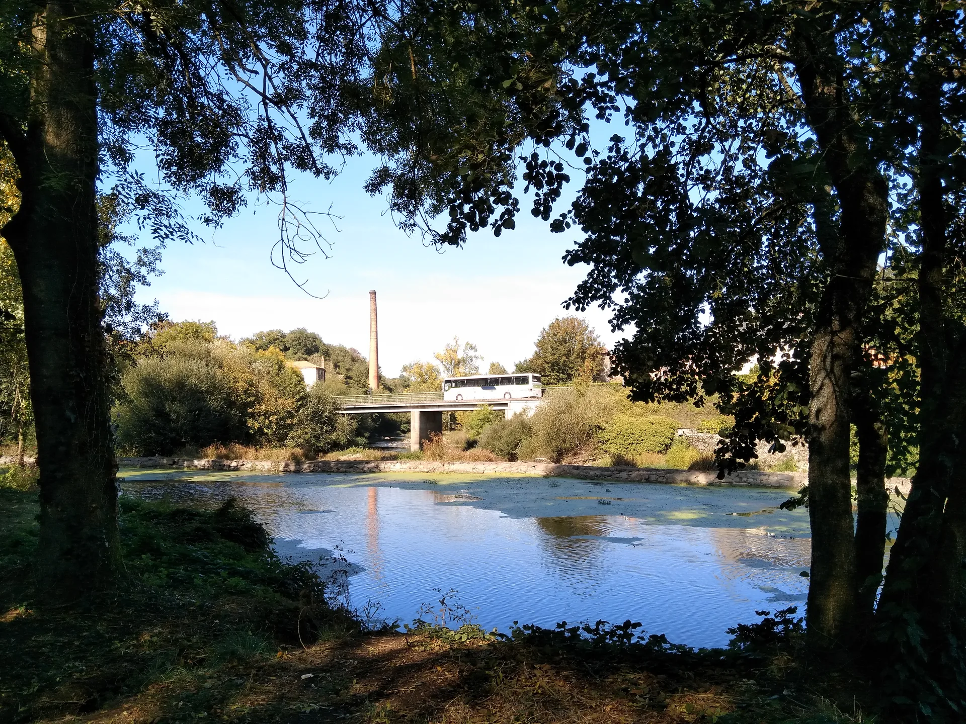 Etang du Pavillon à Sèvremoine — À 3,4 km du lac