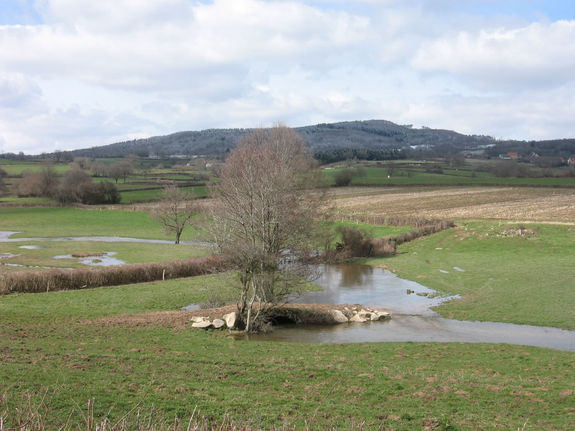 Etang du Poisson à Saint-Léger-sous-Beuvray — À 3,5 km du lac