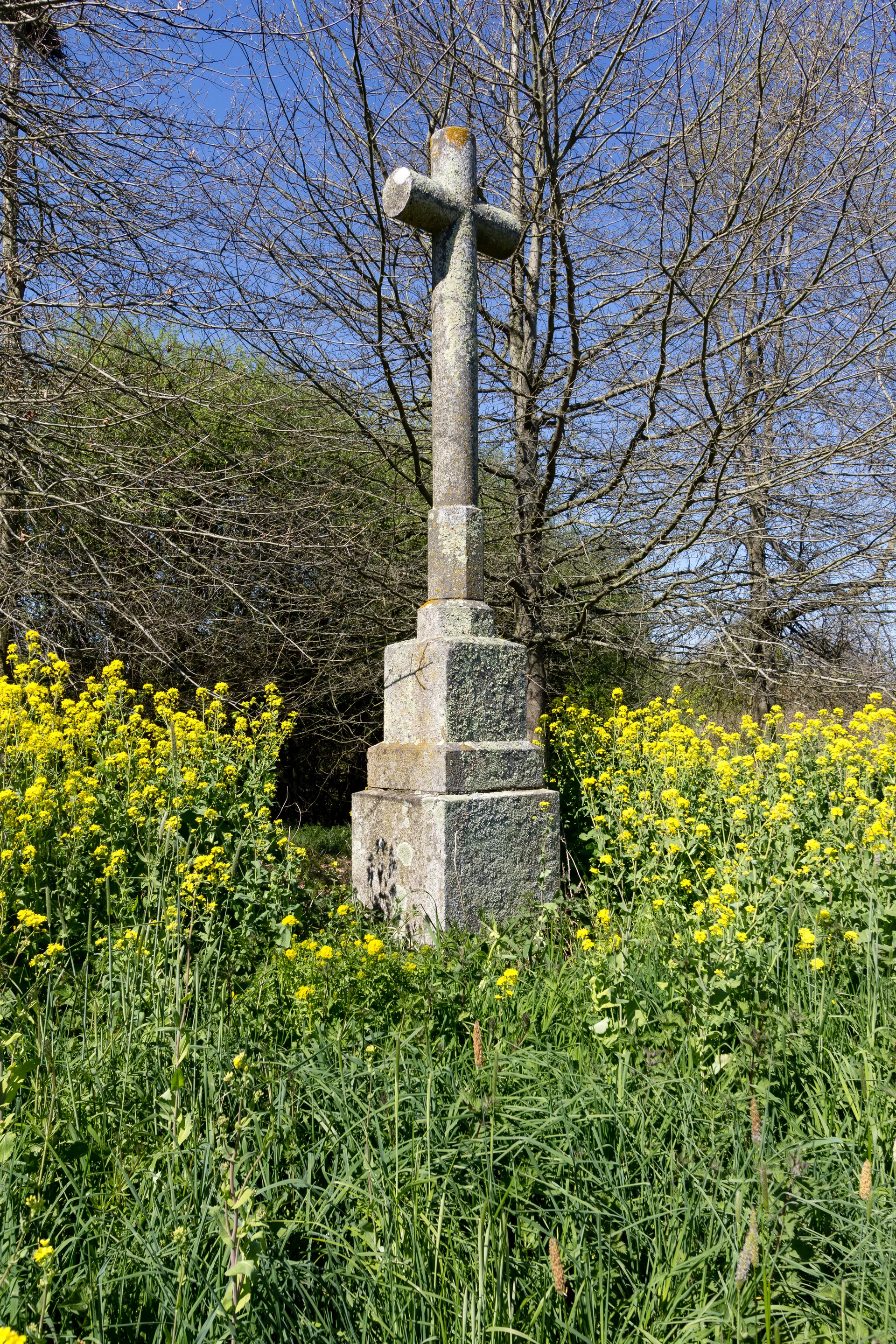 Etang du Rheu à Saint-Jacques-de-la-Lande — À 1,6 km du lac