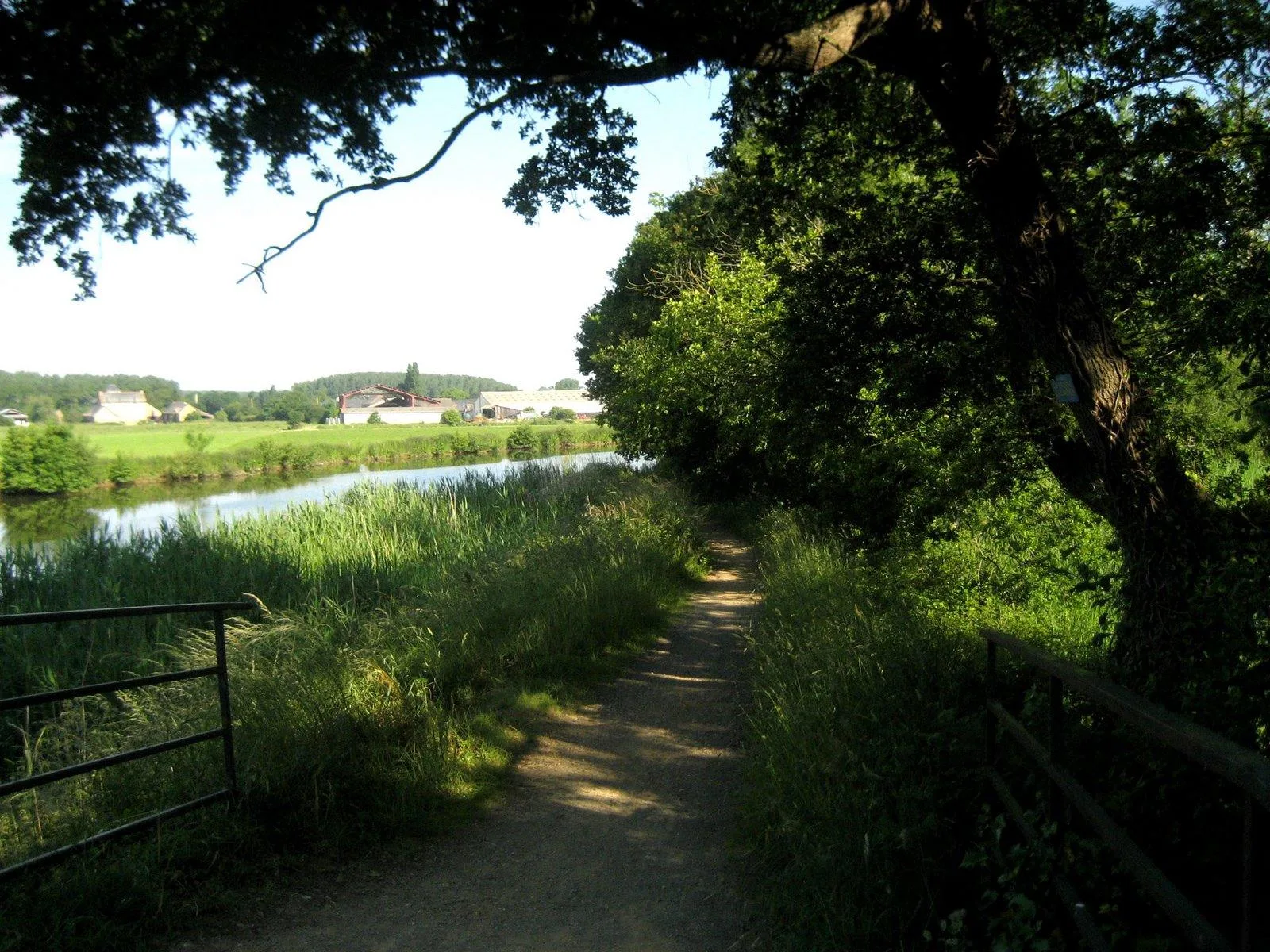 Etang du Rheu à Saint-Jacques-de-la-Lande — À 1,1 km du lac