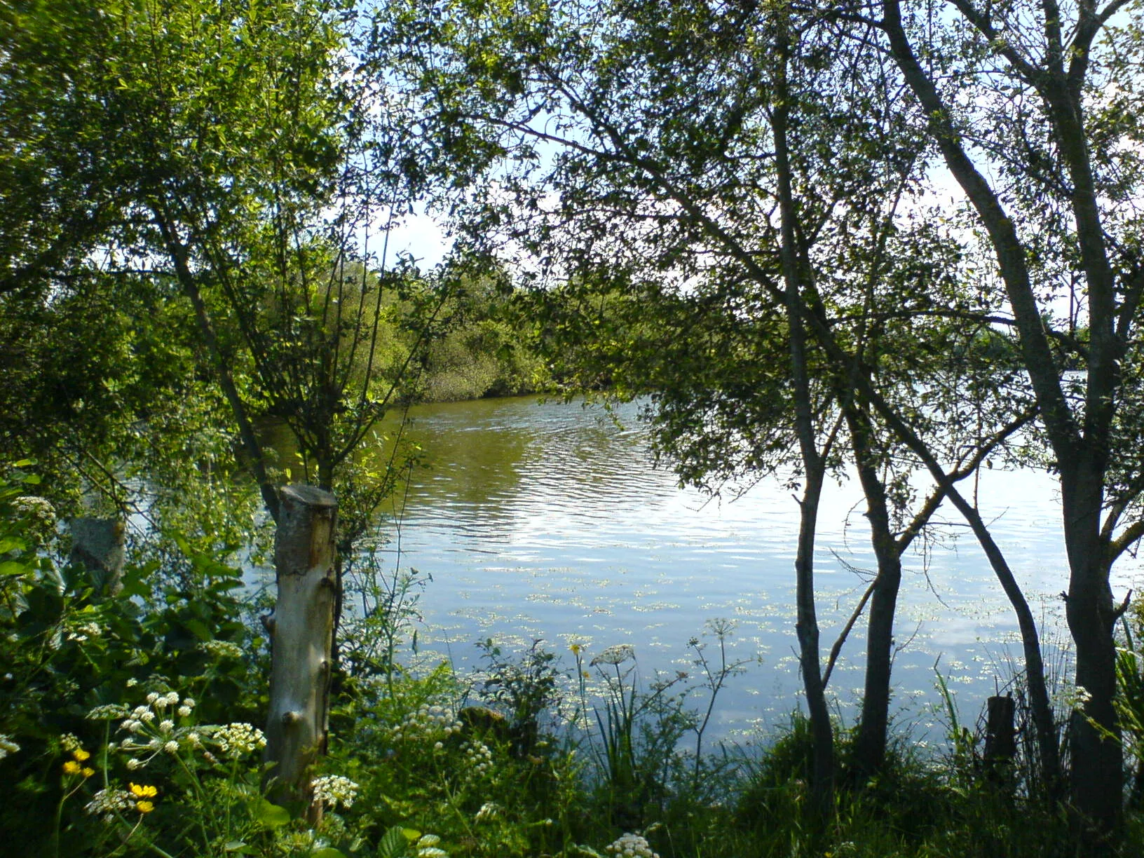 Etang du Rheu à Saint-Jacques-de-la-Lande — À 1,1 km du lac