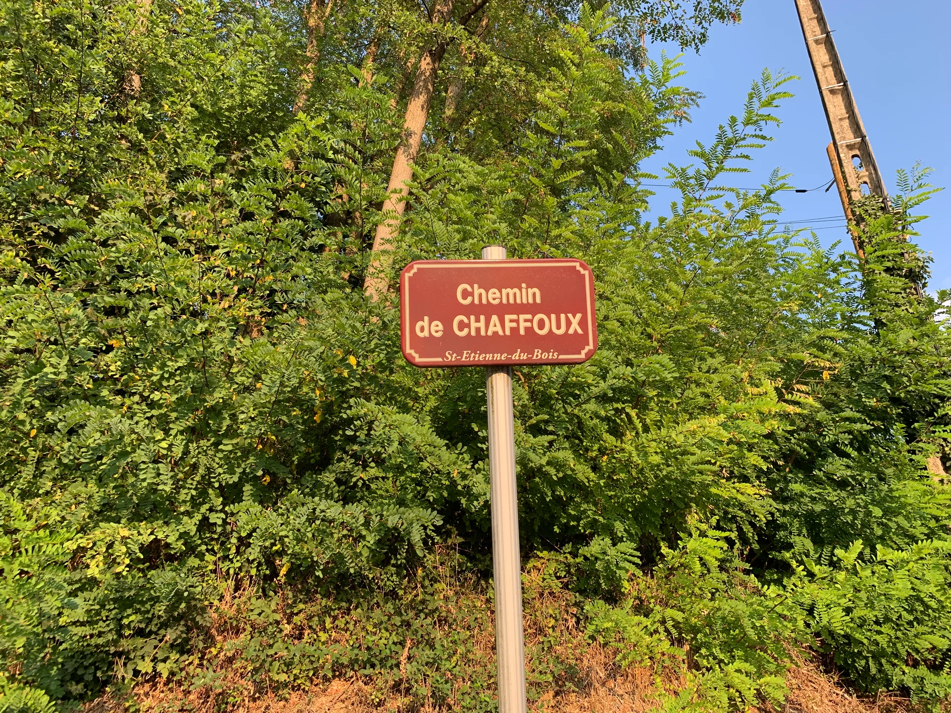 Etang du Servon à Saint-Étienne-du-Bois — À 291 m du lac