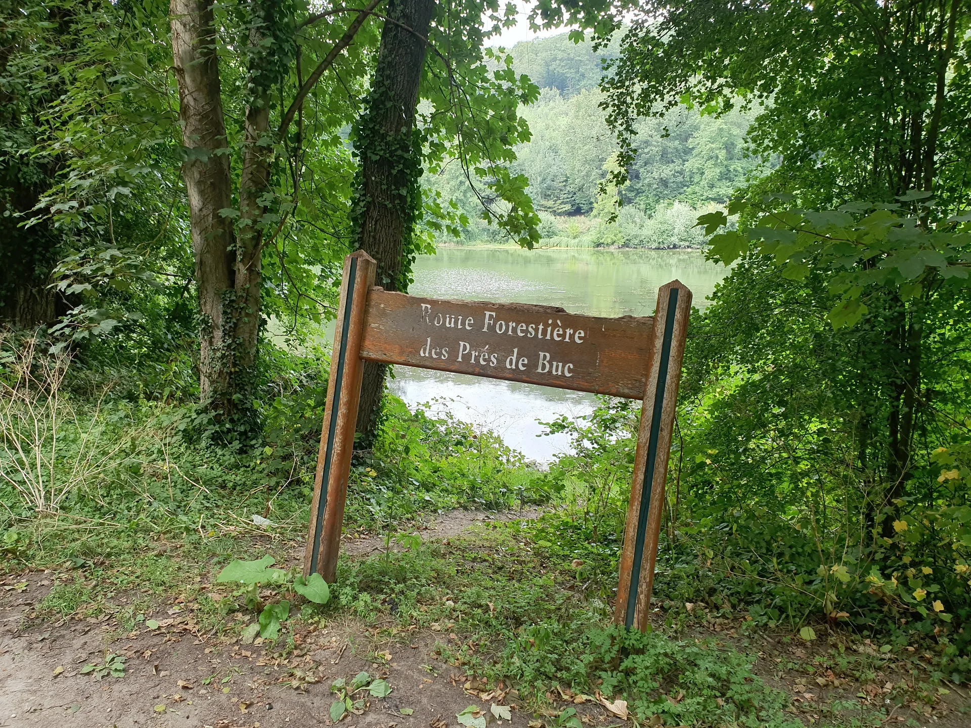 Etang du Val d'Or à Guyancourt — À 677 m du lac
