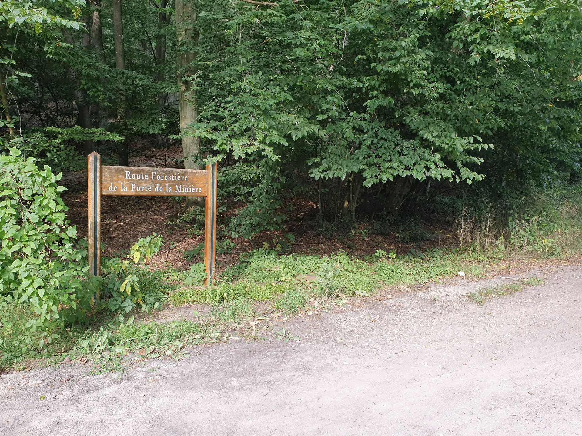 Etang du Val d'Or à Guyancourt — À 1,0 km du lac