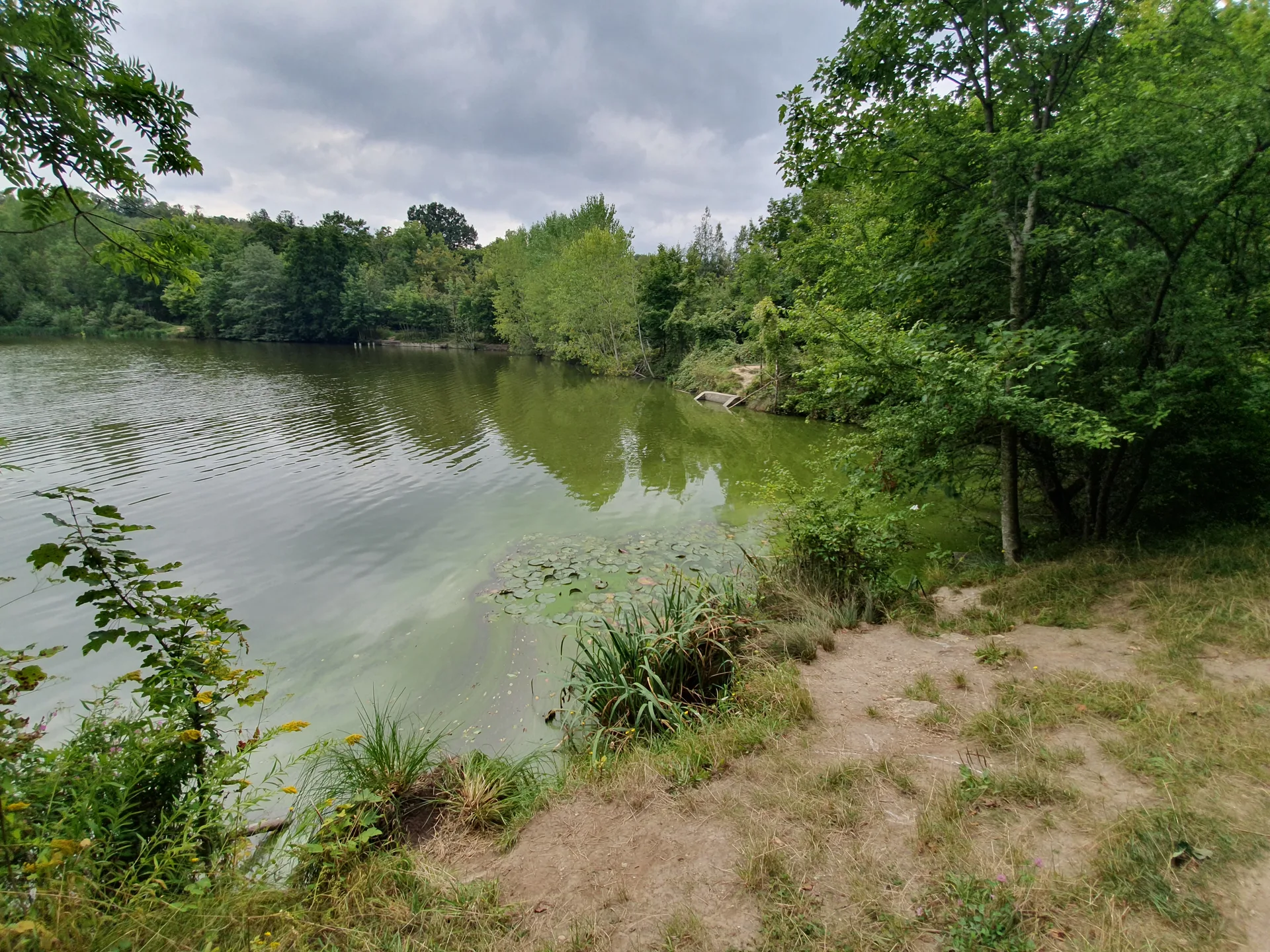 Etang du Val d'Or à Guyancourt — Sur le lac