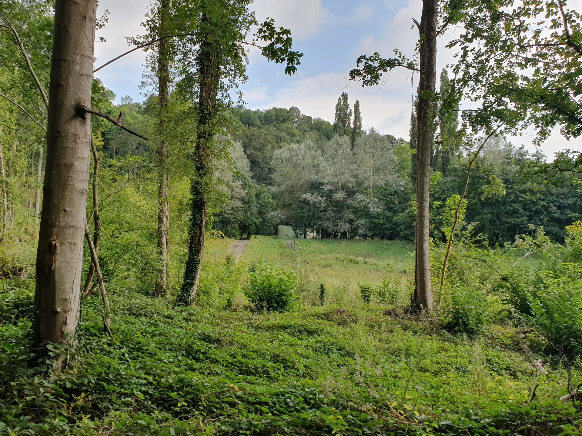 Etang du Val d'Or à Guyancourt — À 348 m du lac